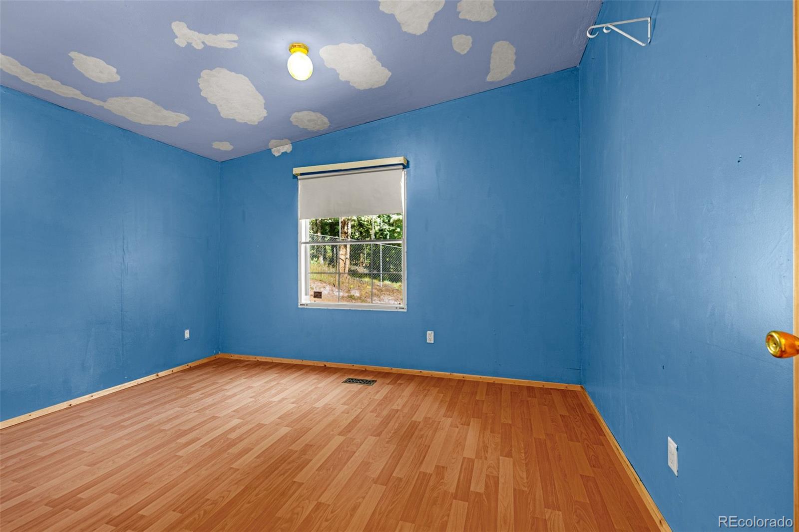 MLS Image #16 for 22  silver trail,florissant, Colorado