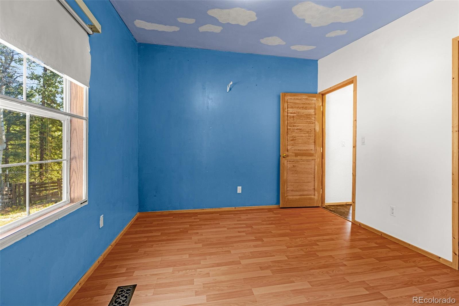 MLS Image #17 for 22  silver trail,florissant, Colorado
