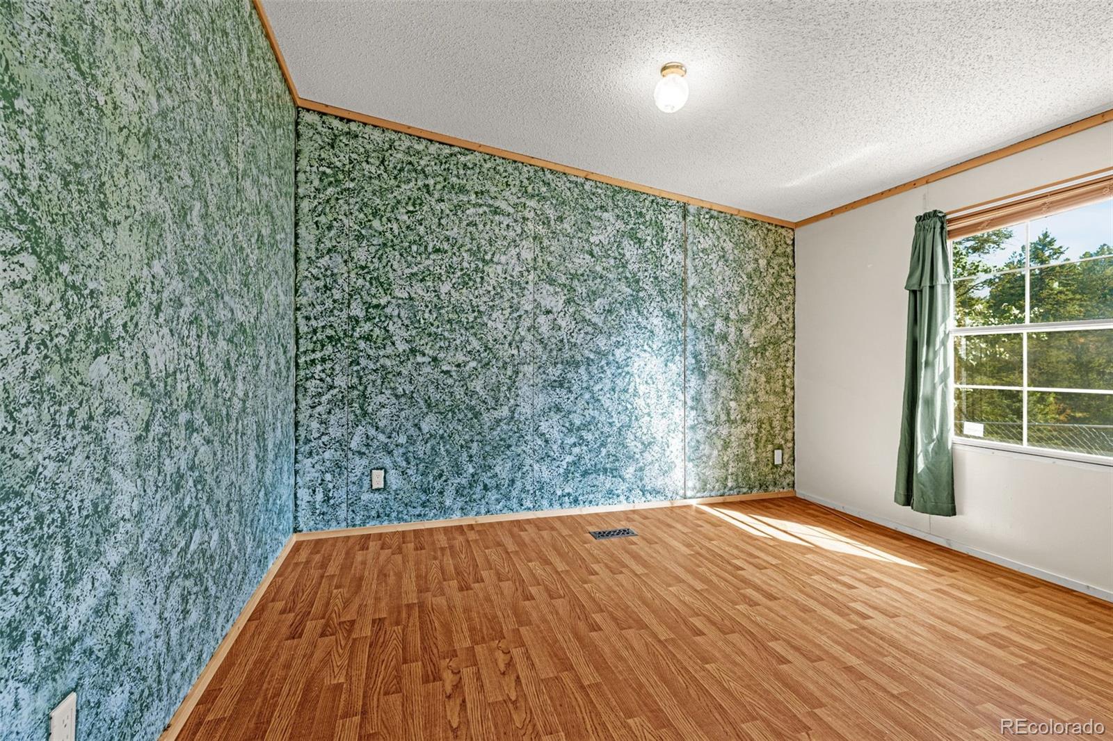 MLS Image #19 for 22  silver trail,florissant, Colorado