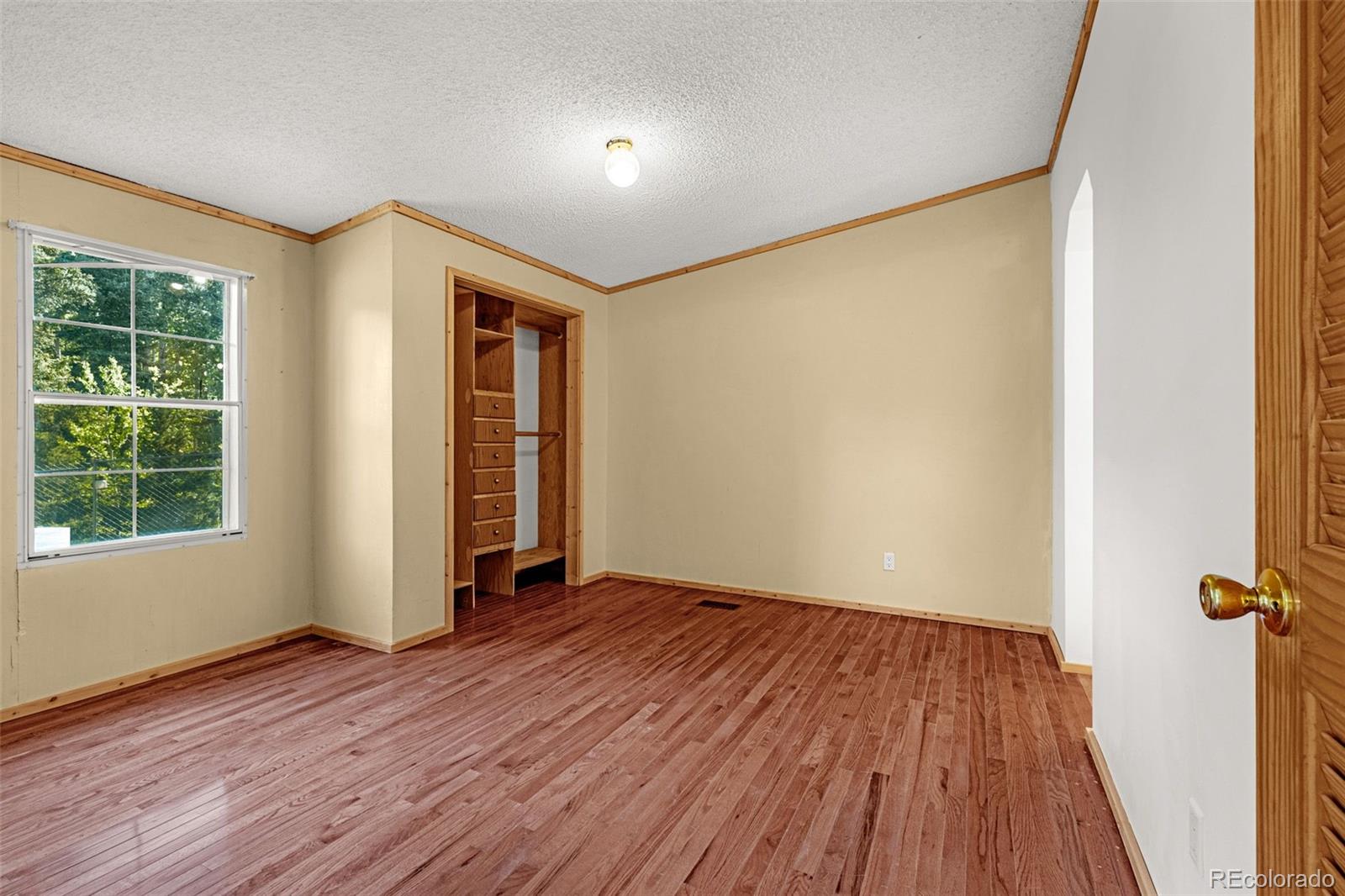 MLS Image #8 for 22  silver trail,florissant, Colorado