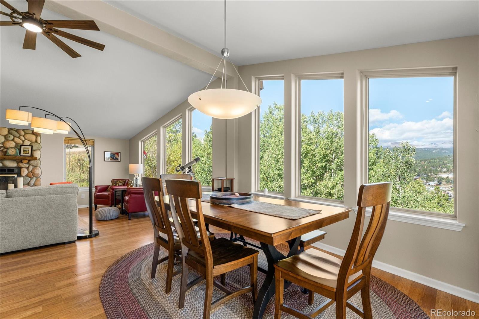 MLS Image #15 for 107  ponderosa drive,nederland, Colorado