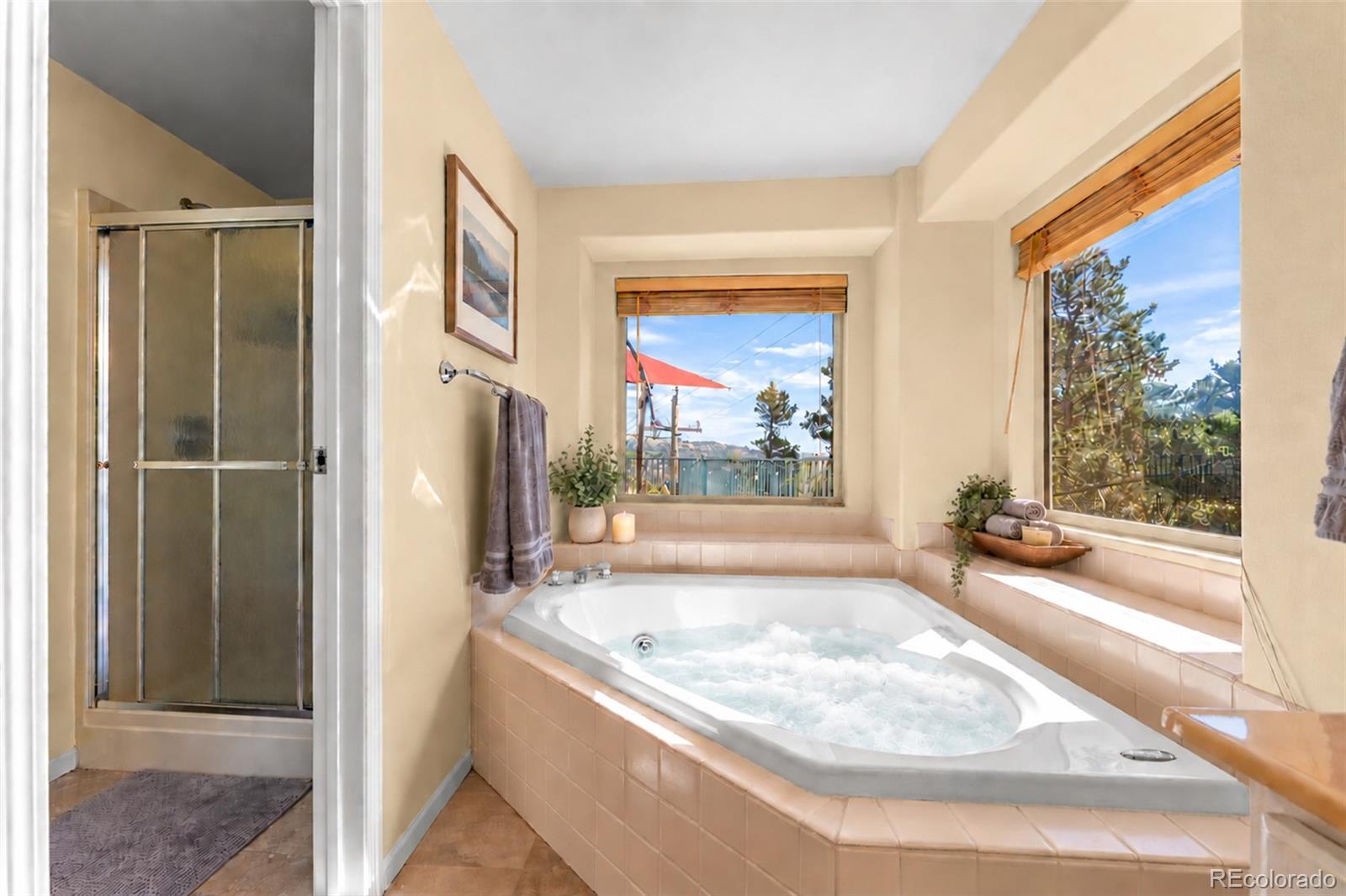 MLS Image #41 for 107  ponderosa drive,nederland, Colorado