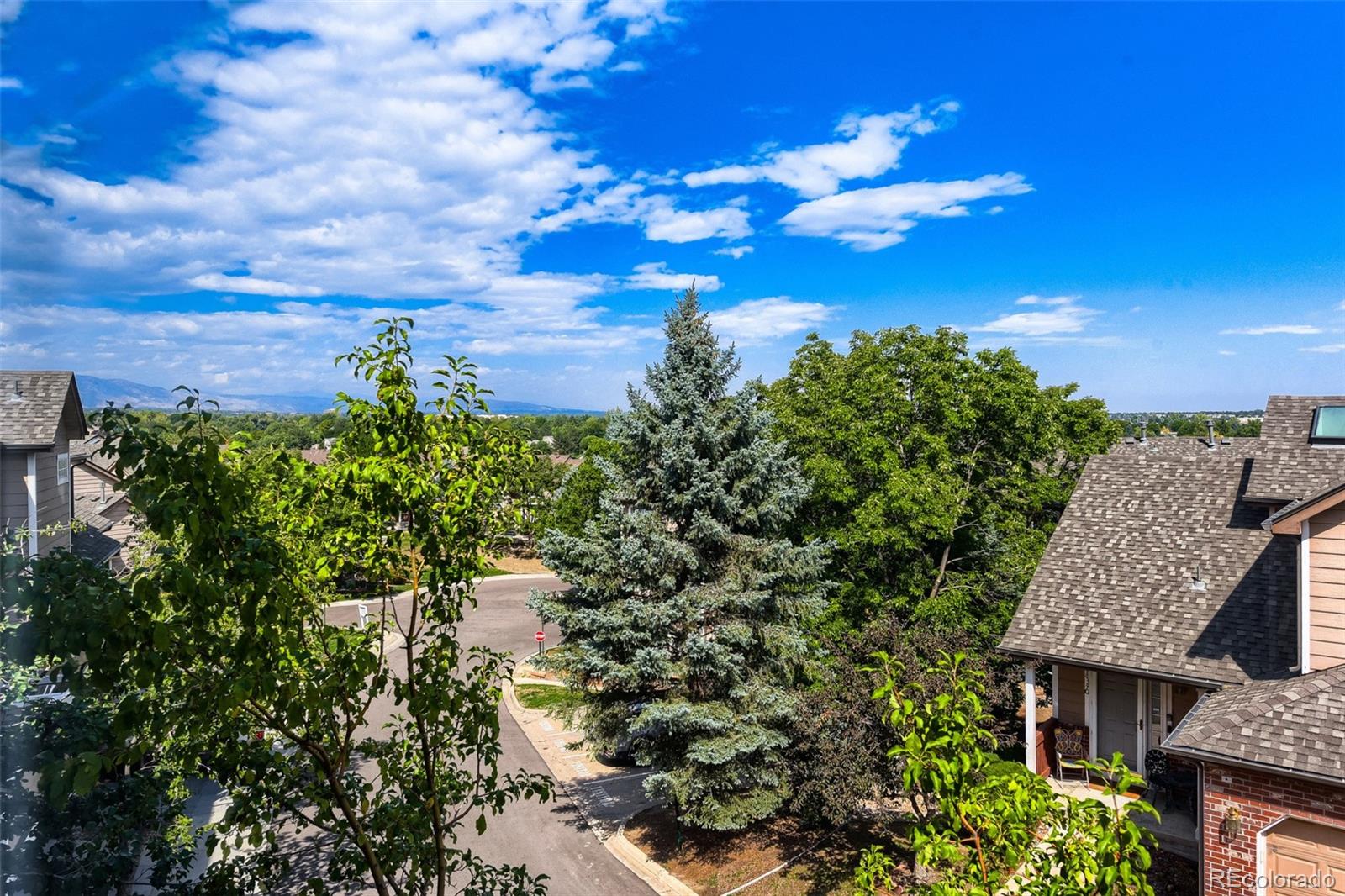 MLS Image #27 for 6845 s webster street,littleton, Colorado