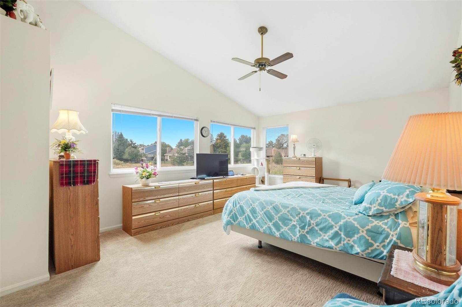 MLS Image #20 for 11149  dartmoor court,parker, Colorado