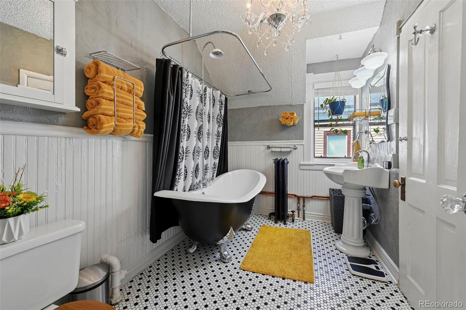MLS Image #29 for 323 e boulder street,colorado springs, Colorado
