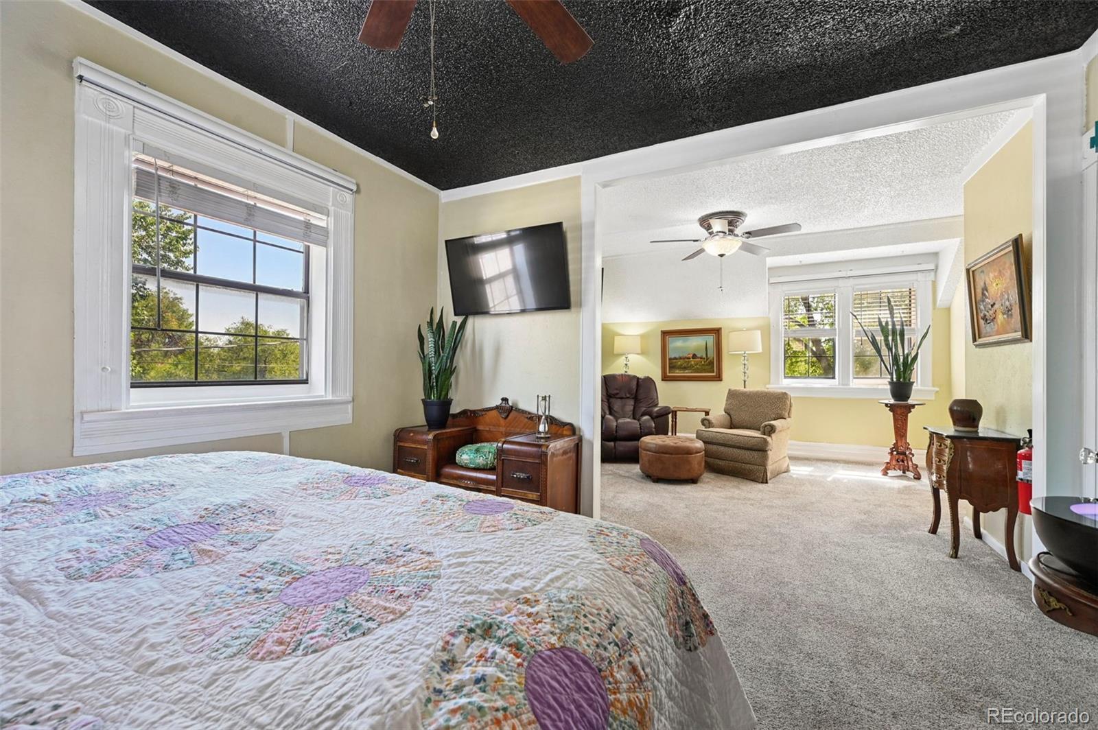 MLS Image #32 for 323 e boulder street,colorado springs, Colorado