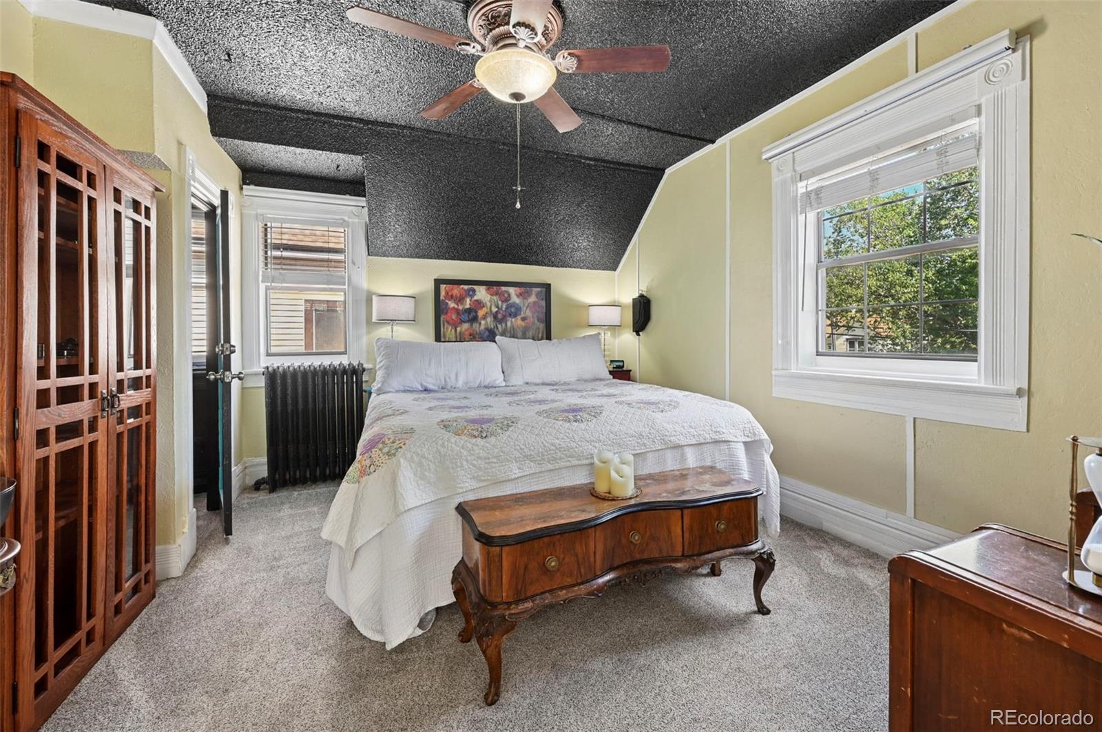 MLS Image #36 for 323 e boulder street,colorado springs, Colorado