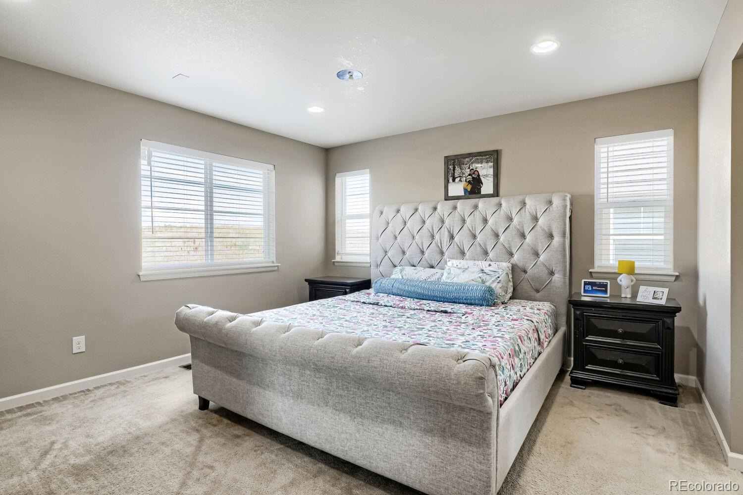 MLS Image #18 for 3397  bittern street,castle rock, Colorado