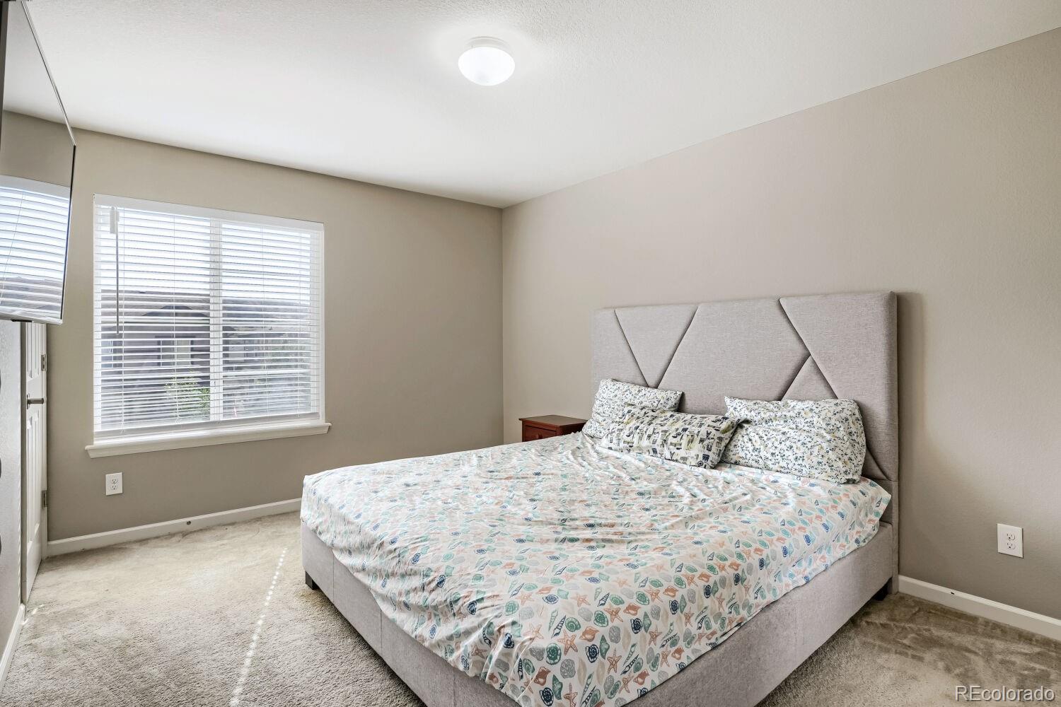 MLS Image #22 for 3397  bittern street,castle rock, Colorado