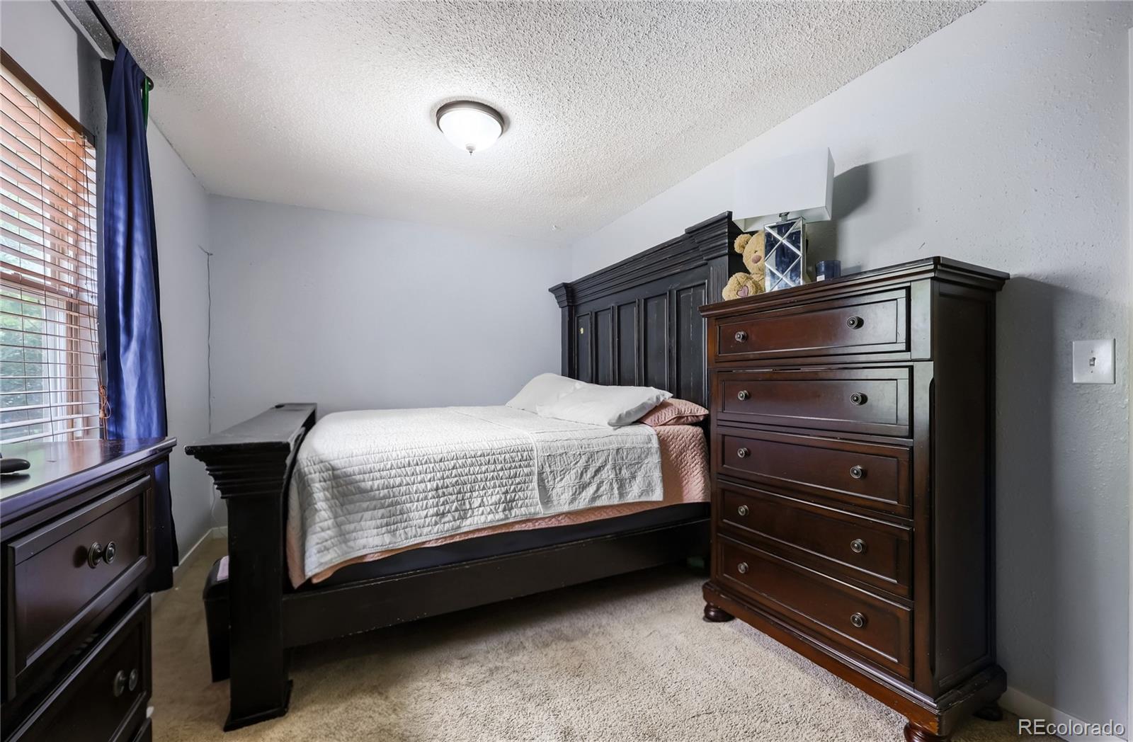 MLS Image #11 for 2535  gina drive,colorado springs, Colorado