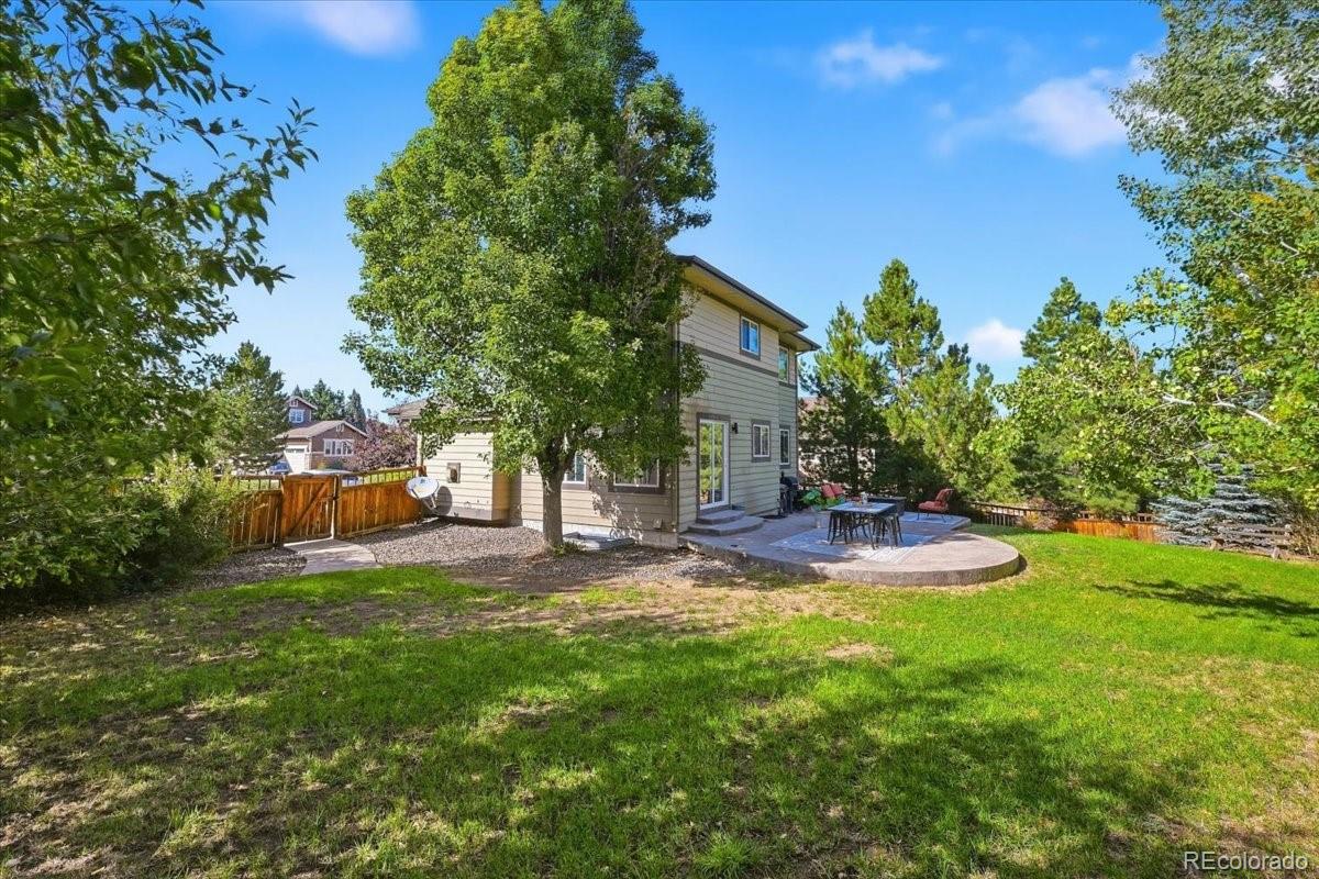 MLS Image #10 for 3410  willowrun court,castle rock, Colorado
