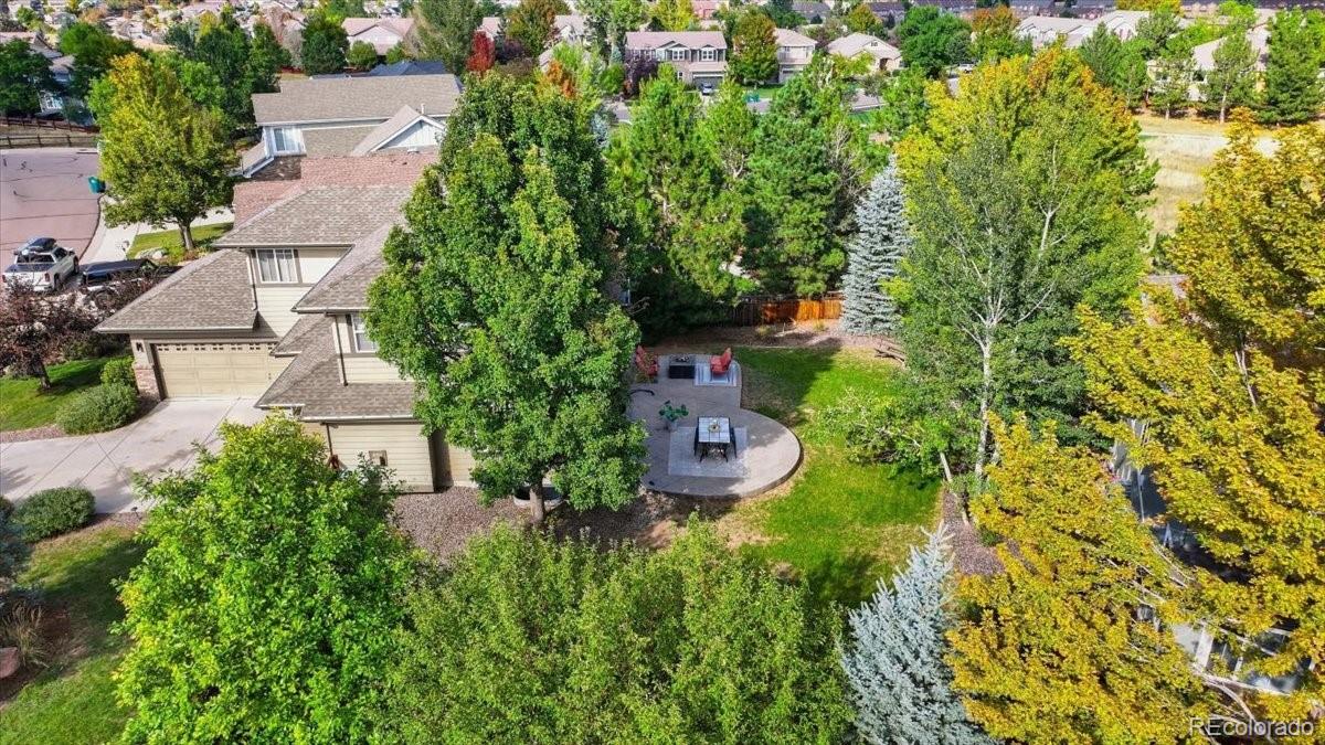 MLS Image #5 for 3410  willowrun court,castle rock, Colorado