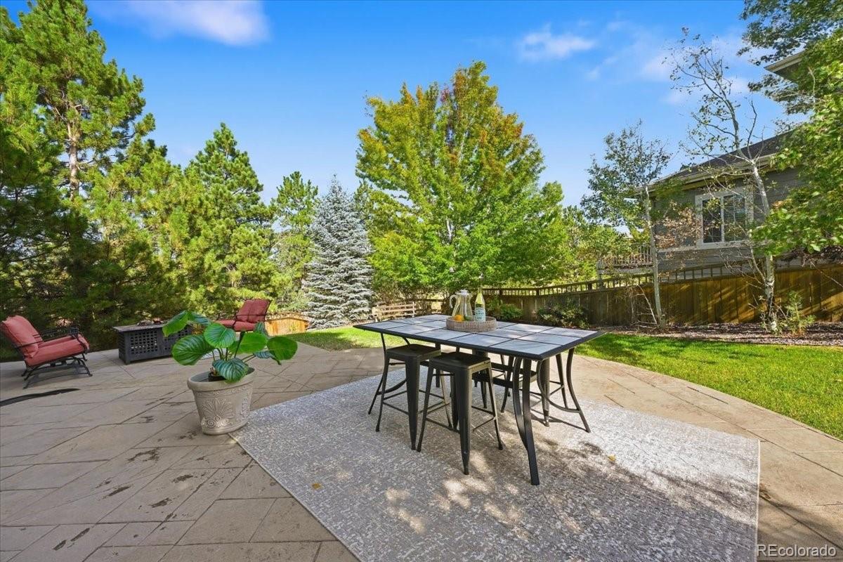MLS Image #7 for 3410  willowrun court,castle rock, Colorado