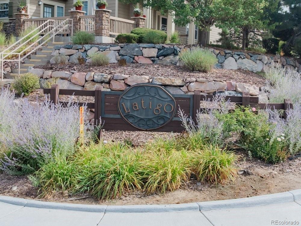 MLS Image #1 for 572  lost valley point,castle rock, Colorado