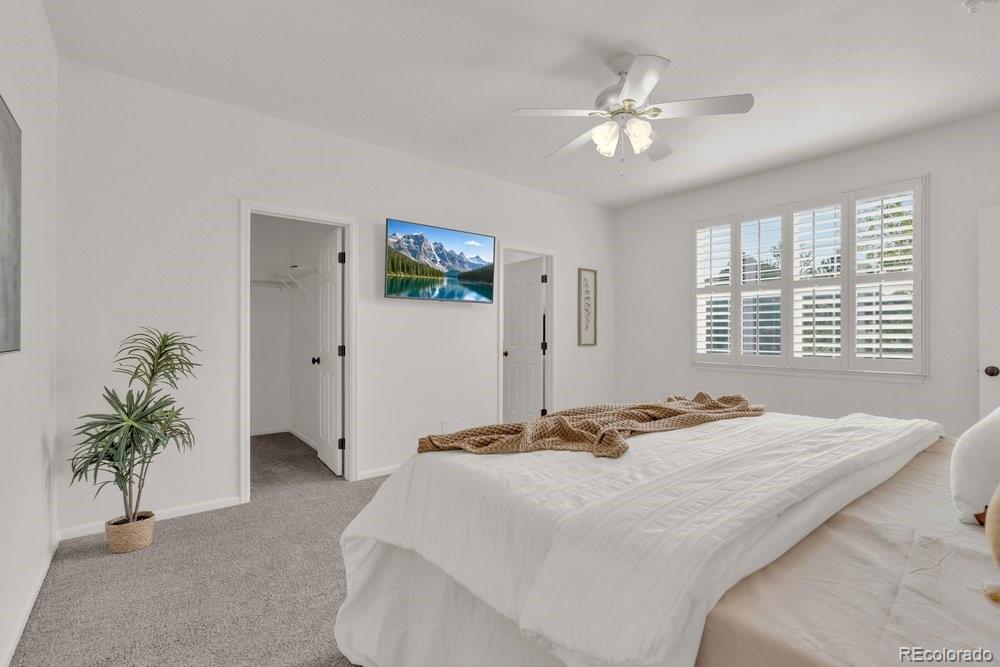 MLS Image #31 for 572  lost valley point,castle rock, Colorado