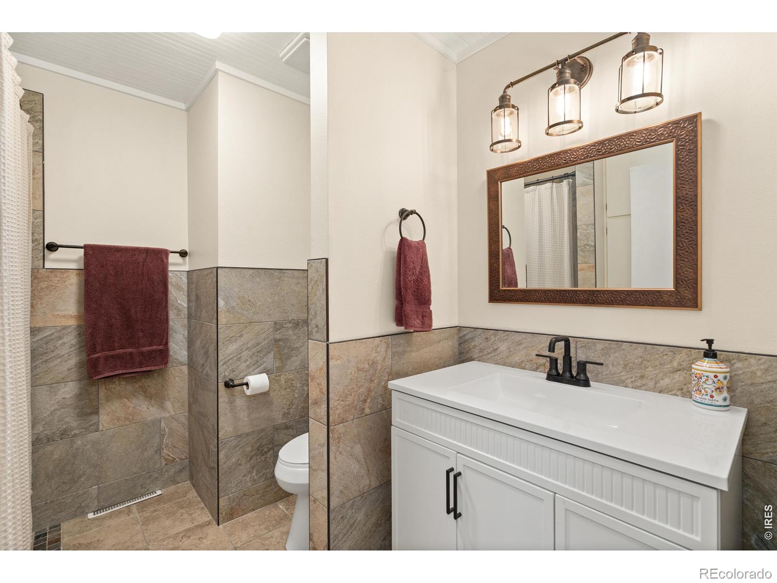 MLS Image #13 for 708  theo avenue,fort collins, Colorado