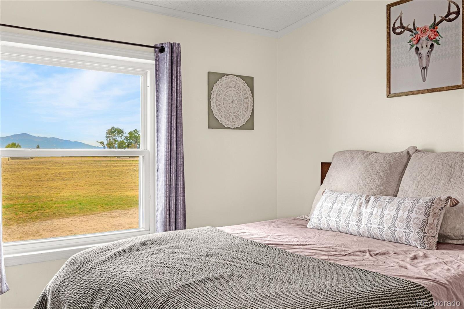 MLS Image #9 for 6015  peerless farms road,peyton, Colorado