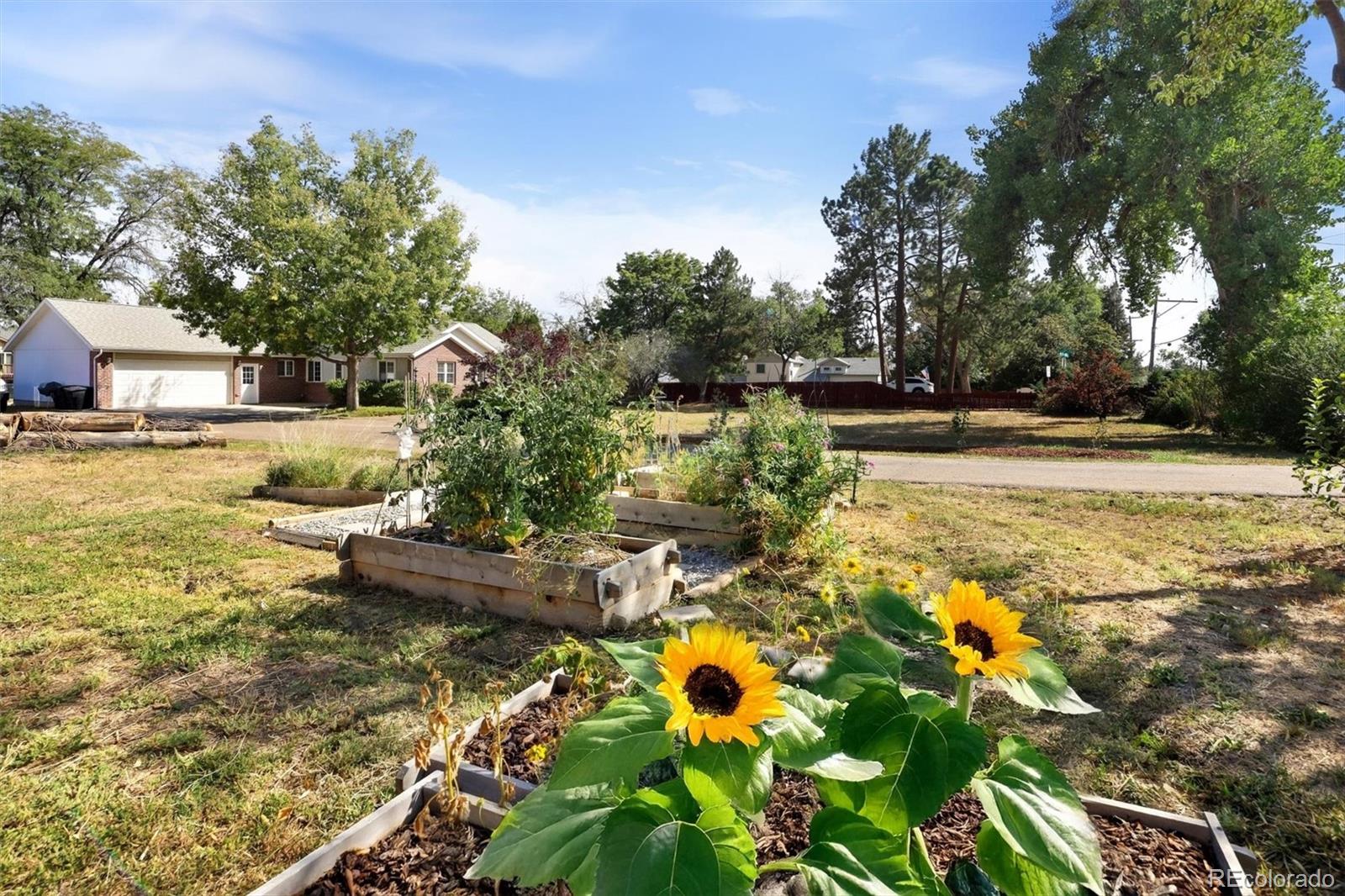 MLS Image #2 for 6240  tennyson street,arvada, Colorado