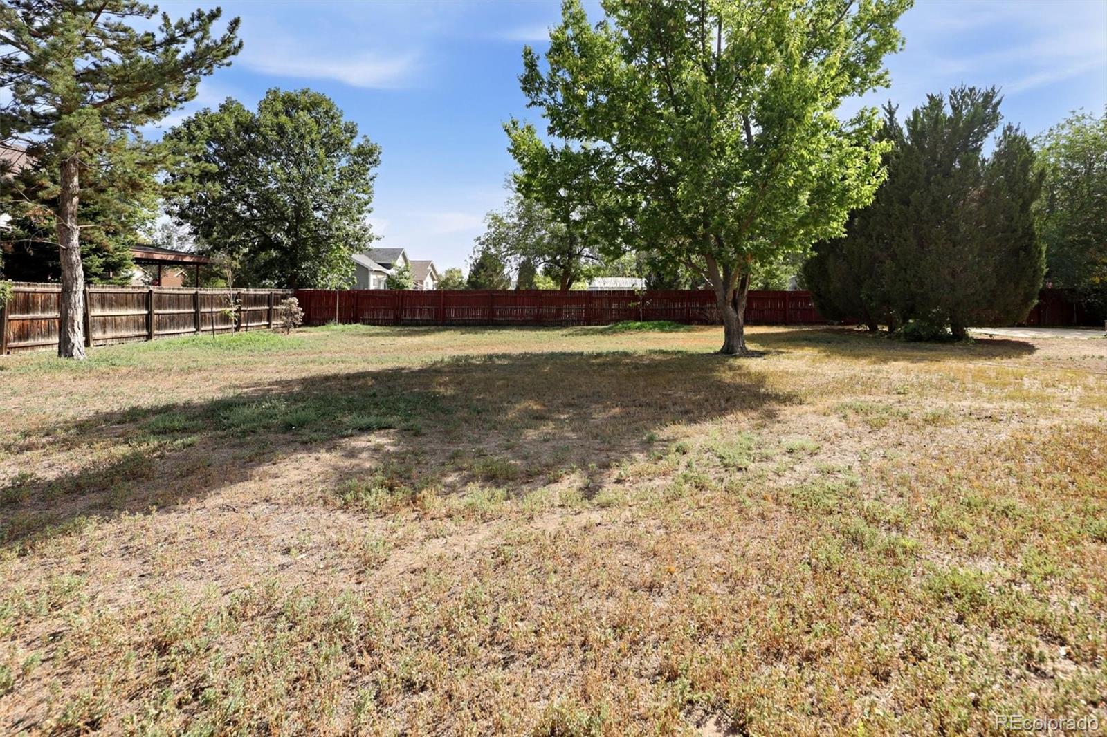 MLS Image #39 for 6240  tennyson street,arvada, Colorado