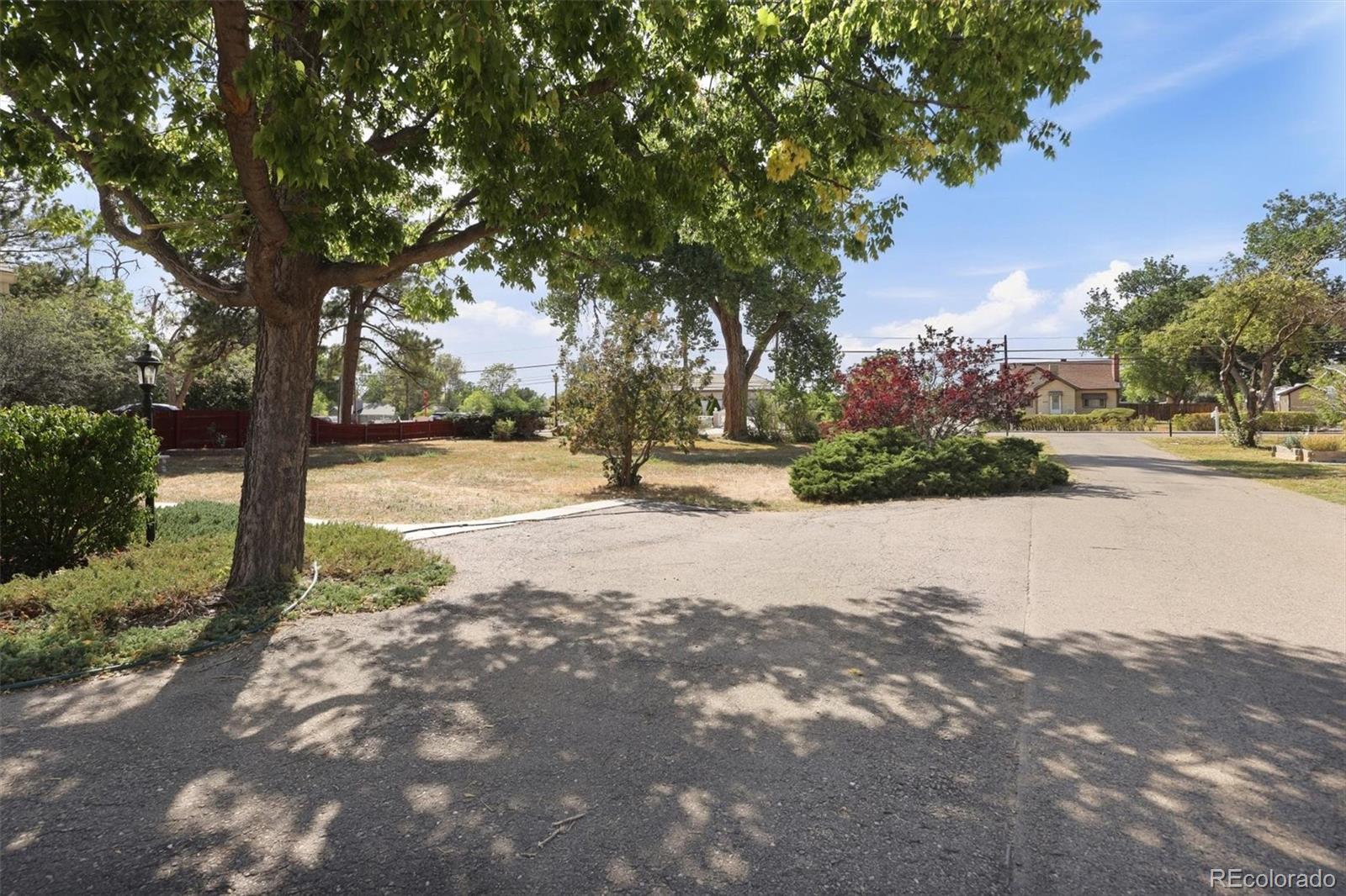 MLS Image #4 for 6240  tennyson street,arvada, Colorado