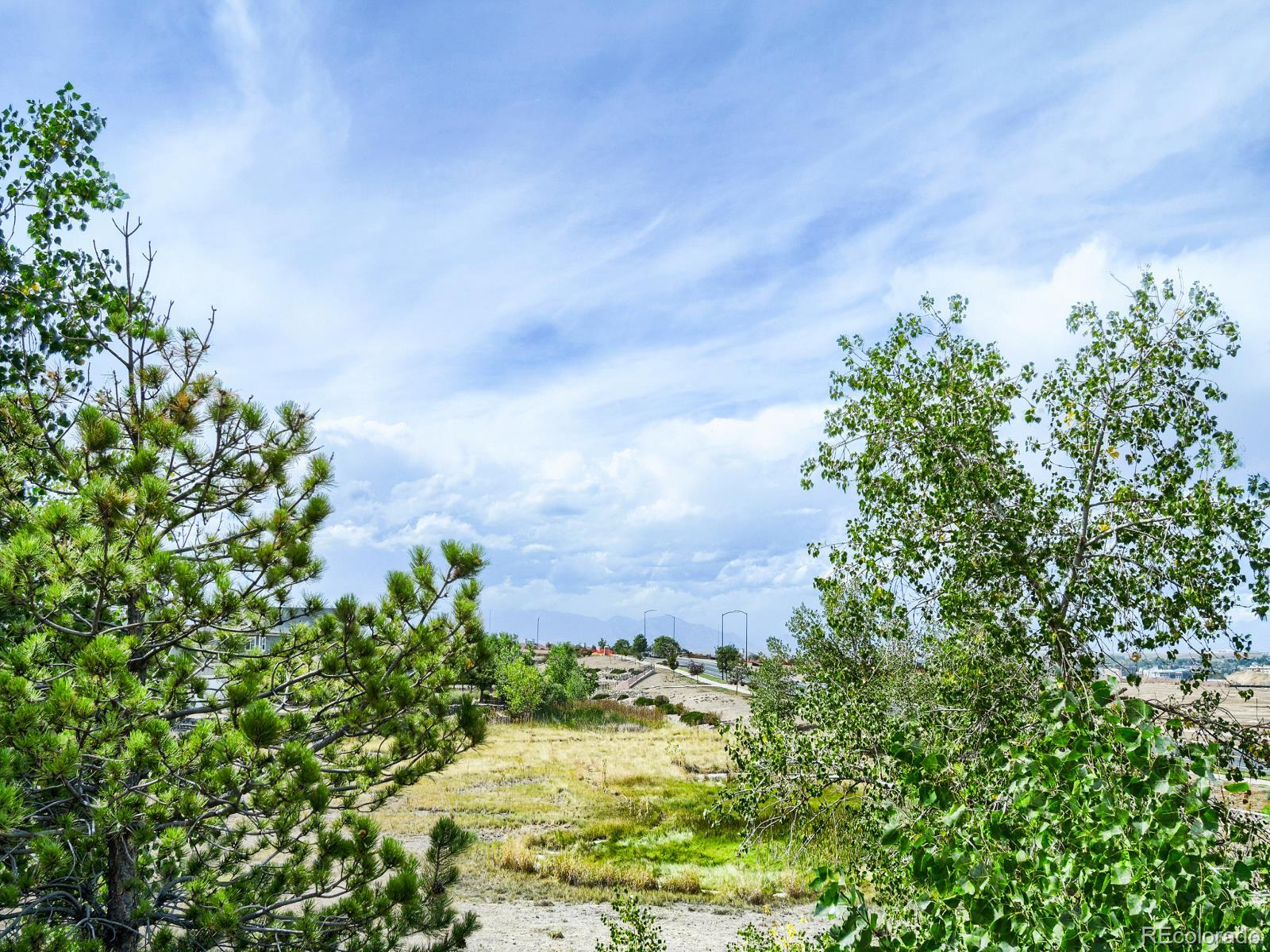 MLS Image #28 for 5471 w 97th place,westminster, Colorado