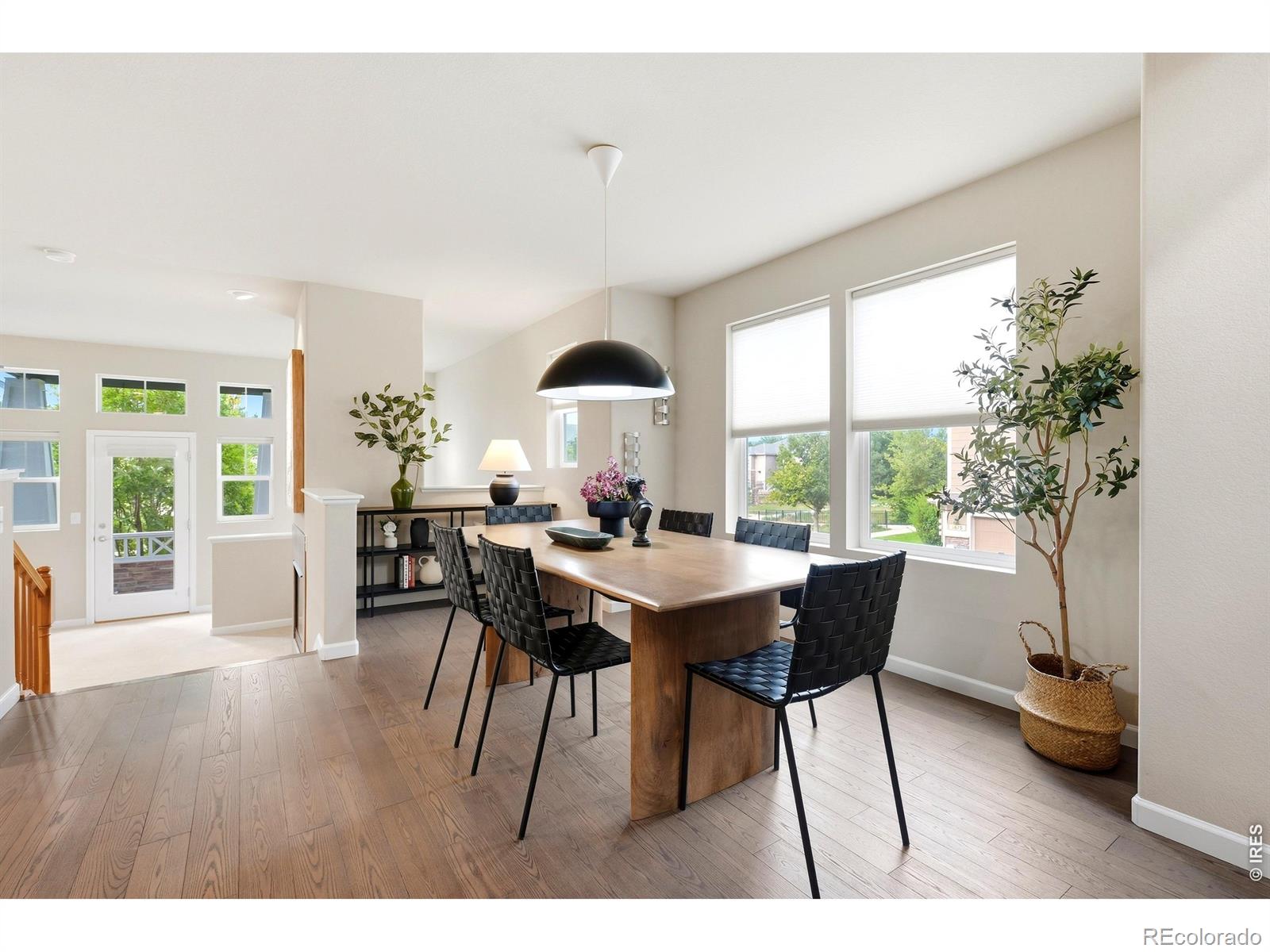 MLS Image #6 for 1647  venice lane,longmont, Colorado