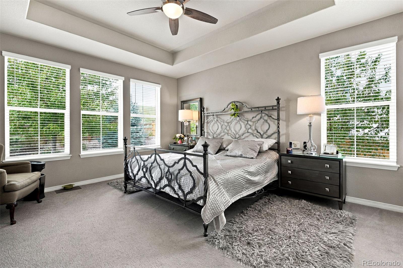 MLS Image #15 for 7147  hyland hills street,castle pines, Colorado
