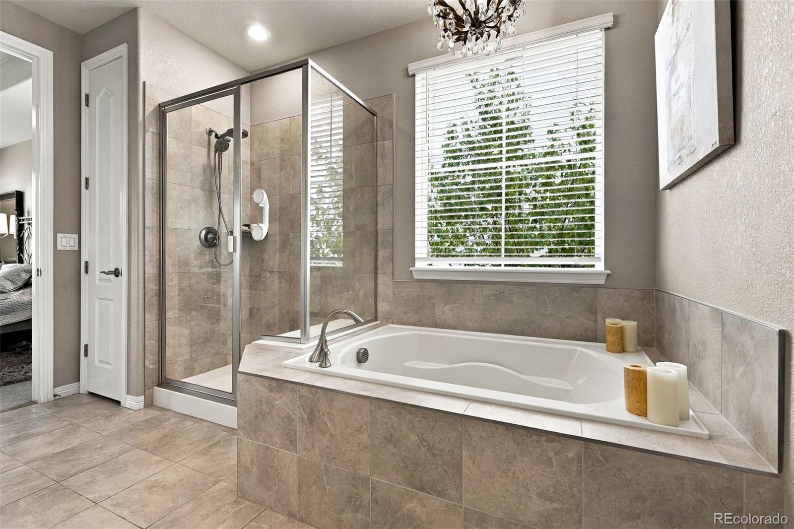 MLS Image #19 for 7147  hyland hills street,castle pines, Colorado