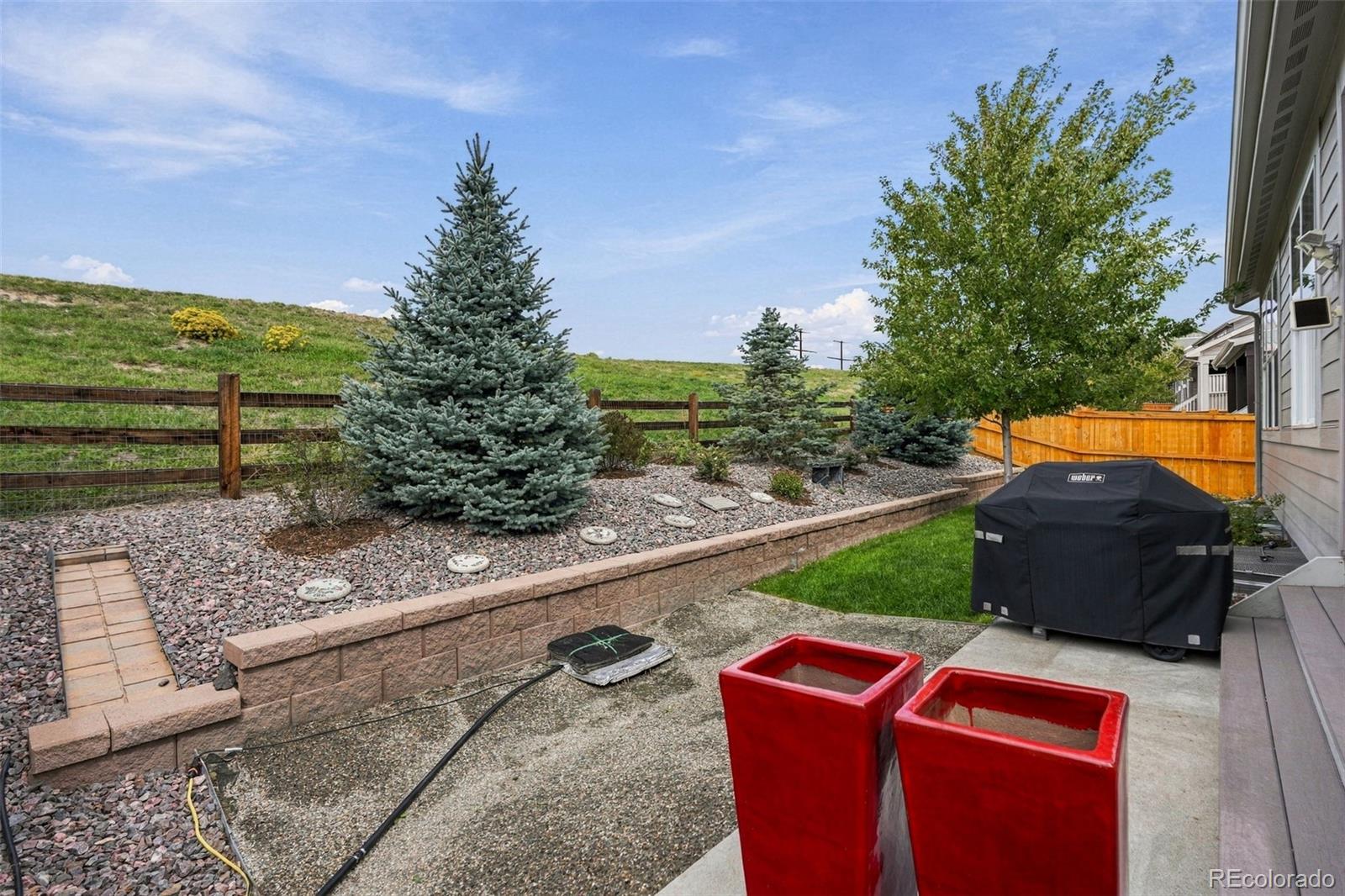 MLS Image #36 for 7147  hyland hills street,castle pines, Colorado
