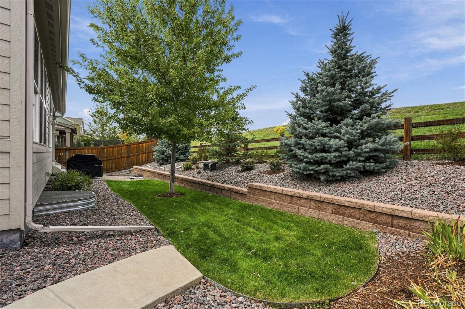 MLS Image #39 for 7147  hyland hills street,castle pines, Colorado