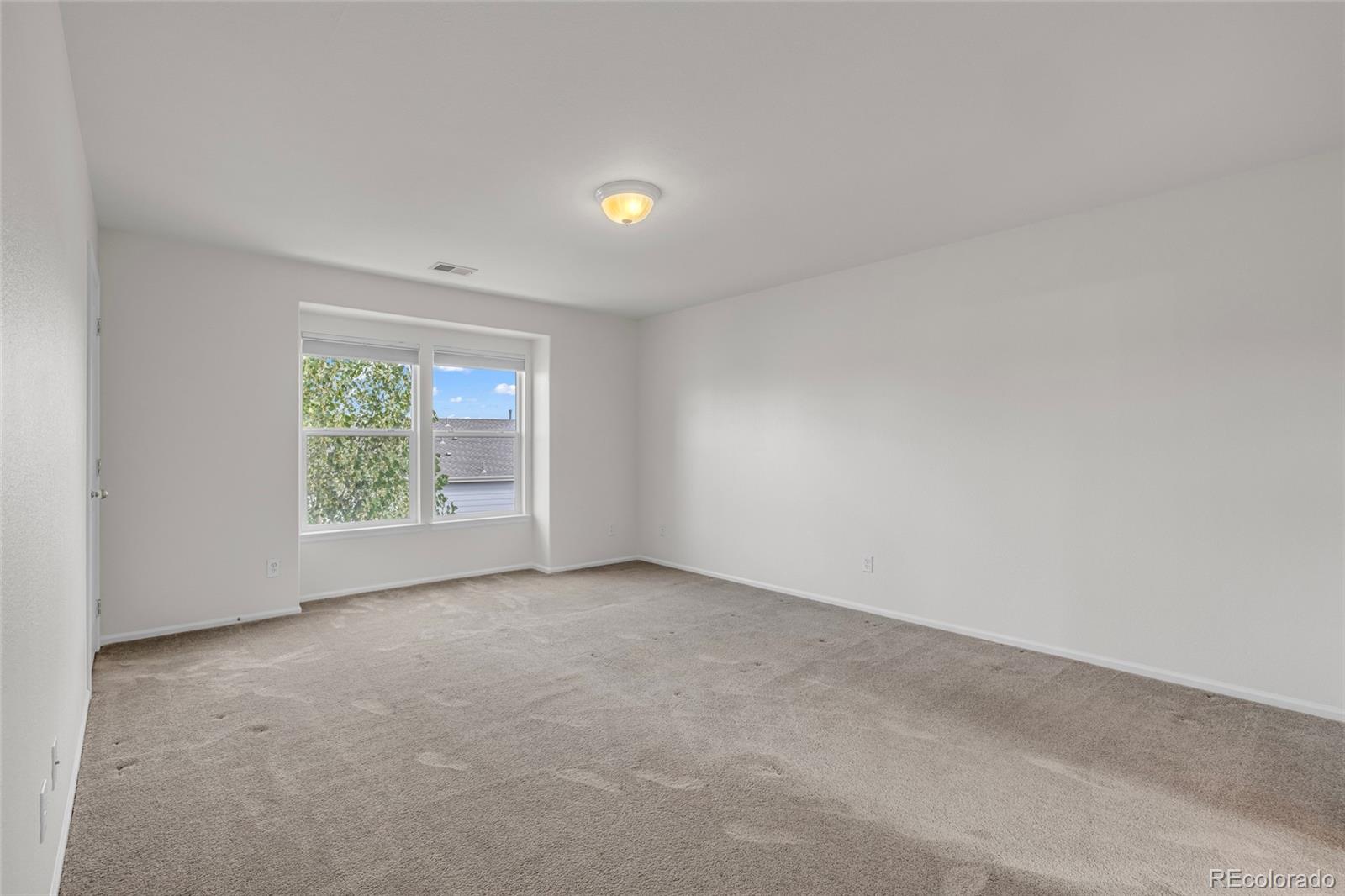 MLS Image #14 for 5702  raleigh circle,castle rock, Colorado