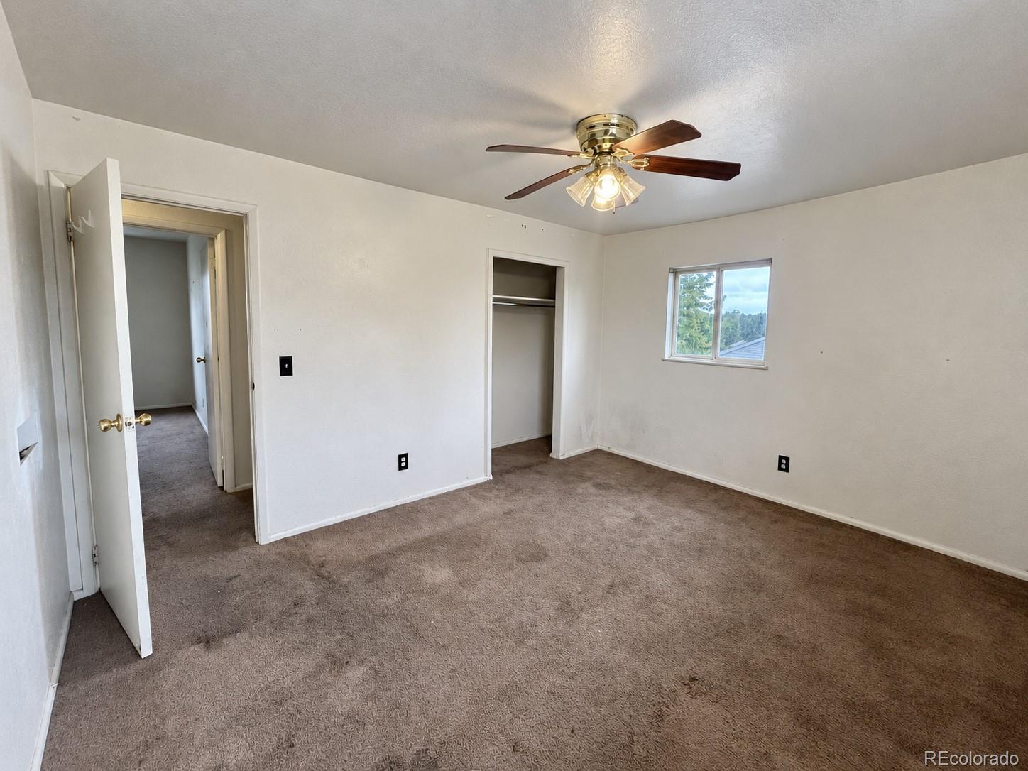 MLS Image #14 for 7732  saulsbury street,arvada, Colorado