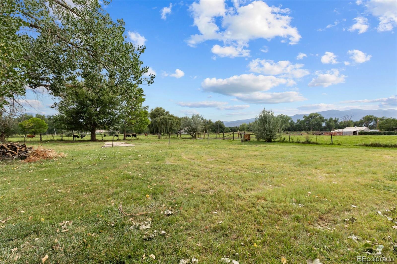 MLS Image #39 for 1202  vine street,canon city, Colorado