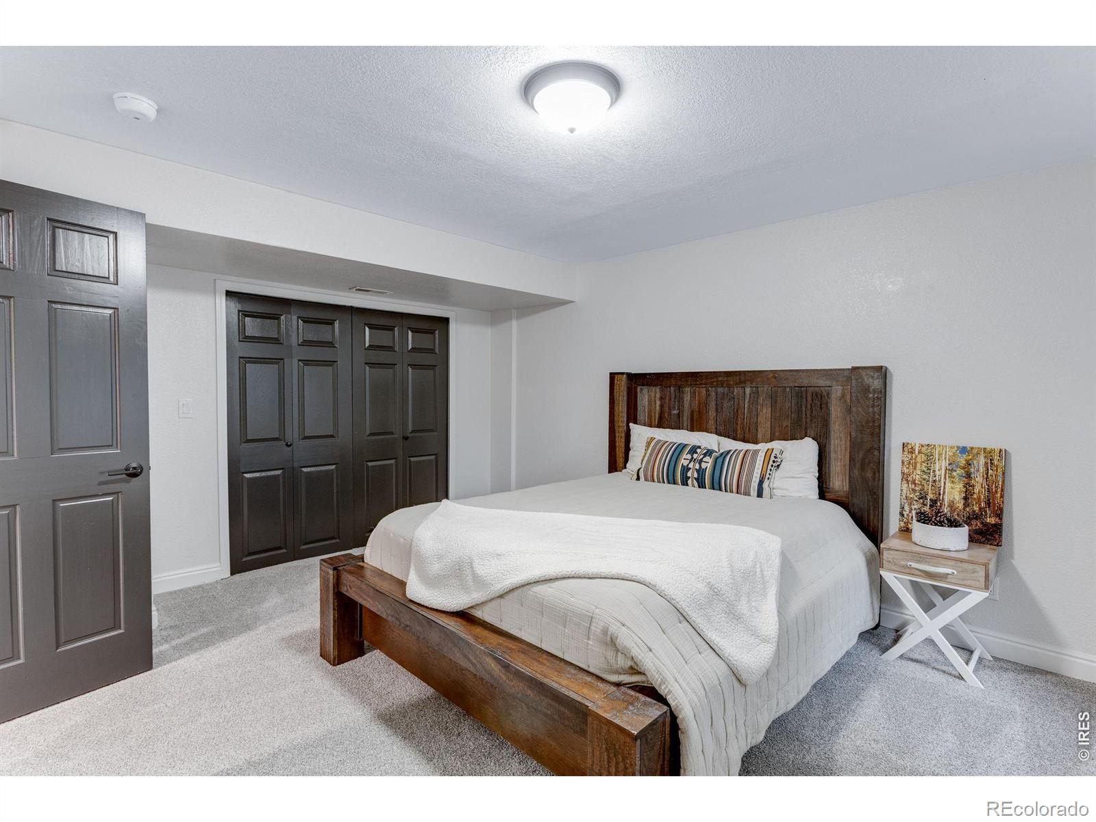 MLS Image #29 for 2513  fox run court,fort collins, Colorado