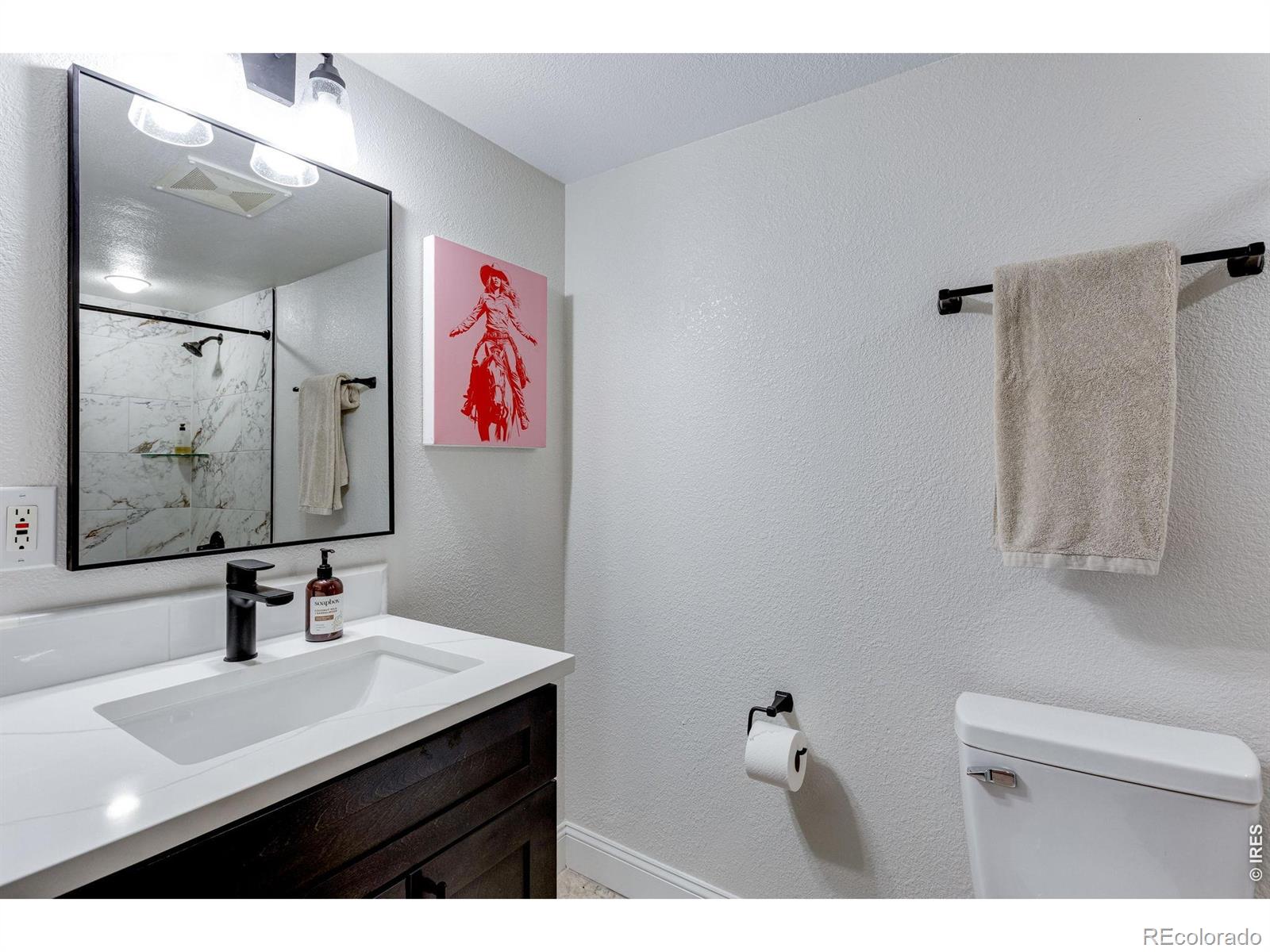 MLS Image #31 for 2513  fox run court,fort collins, Colorado