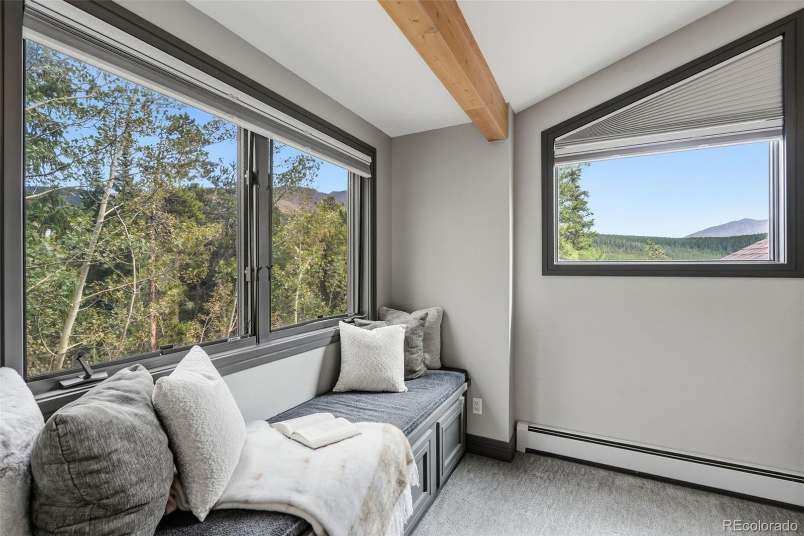 MLS Image #12 for 100  club house road,breckenridge, Colorado