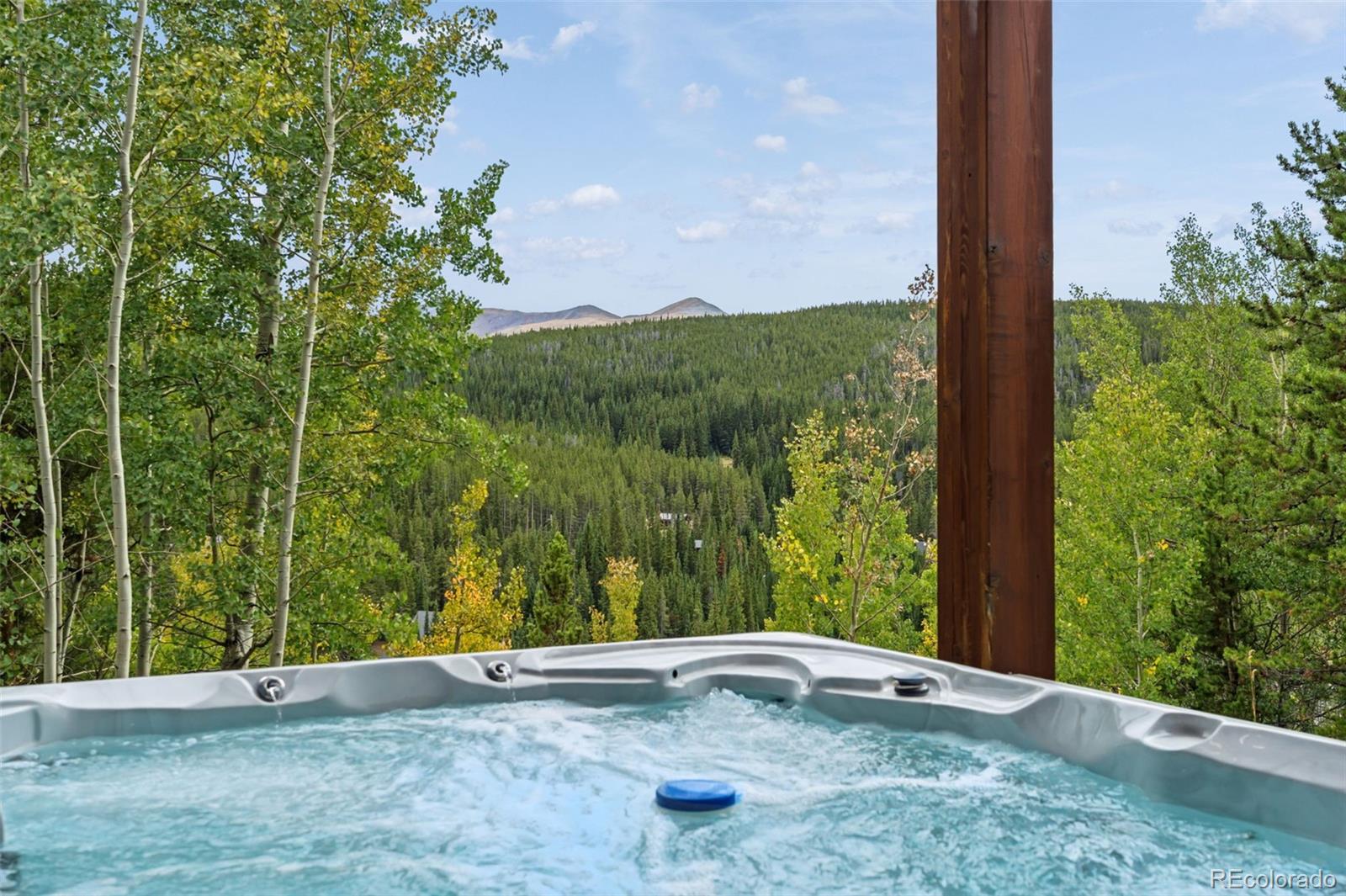 MLS Image #19 for 100  club house road,breckenridge, Colorado