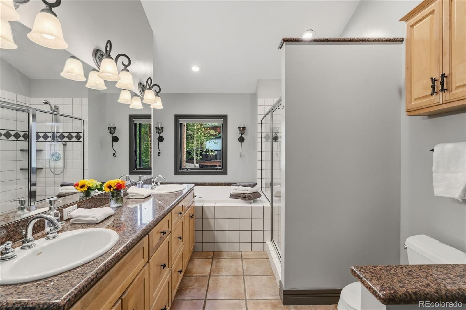 MLS Image #35 for 100  club house road,breckenridge, Colorado