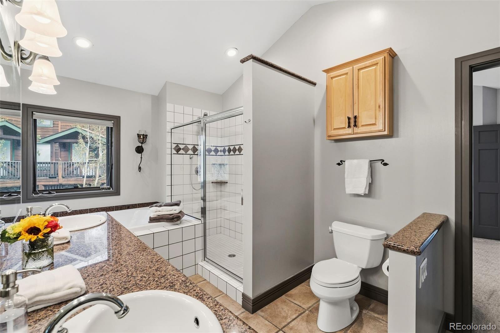 MLS Image #38 for 100  club house road,breckenridge, Colorado