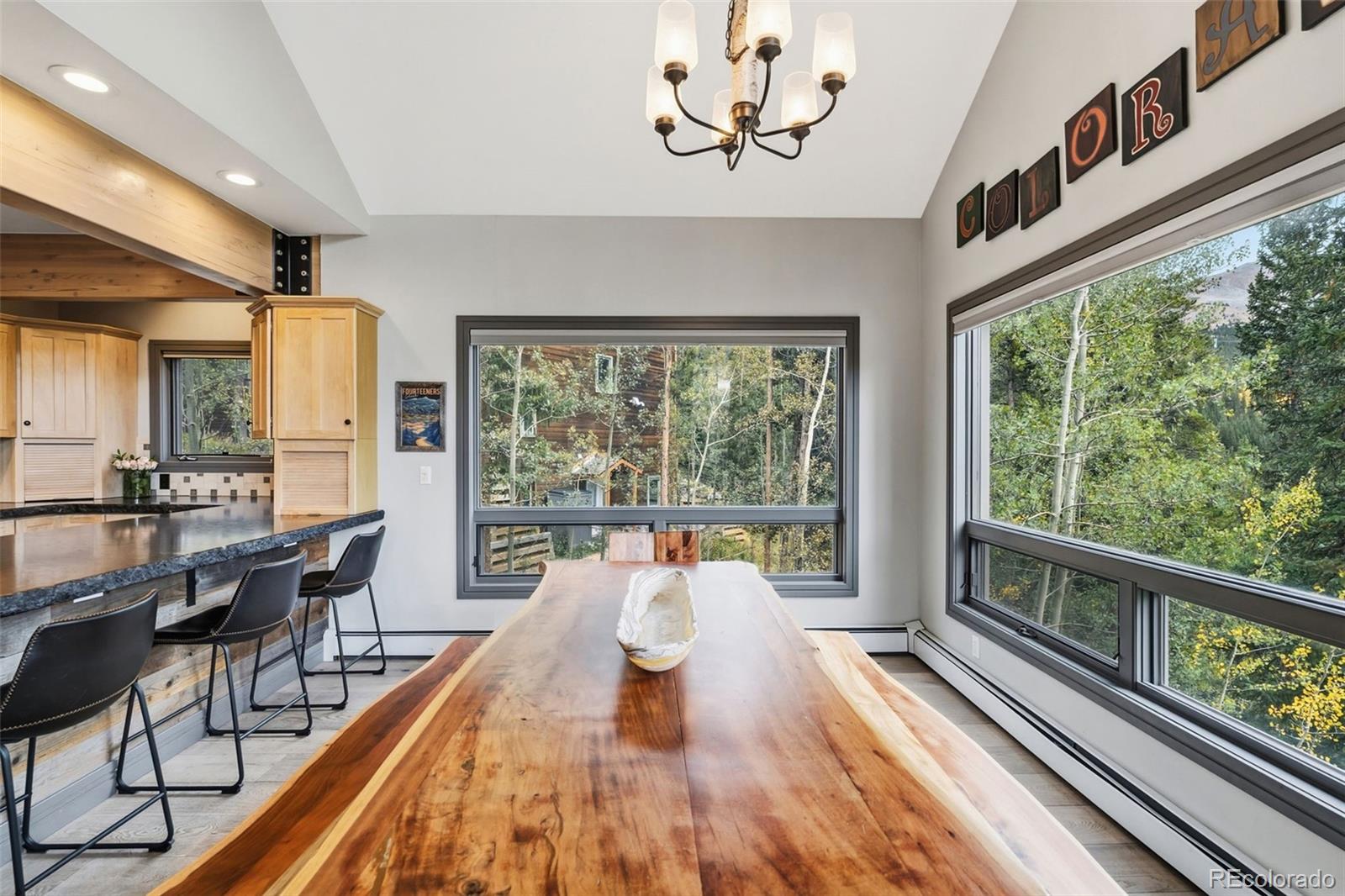 MLS Image #41 for 100  club house road,breckenridge, Colorado