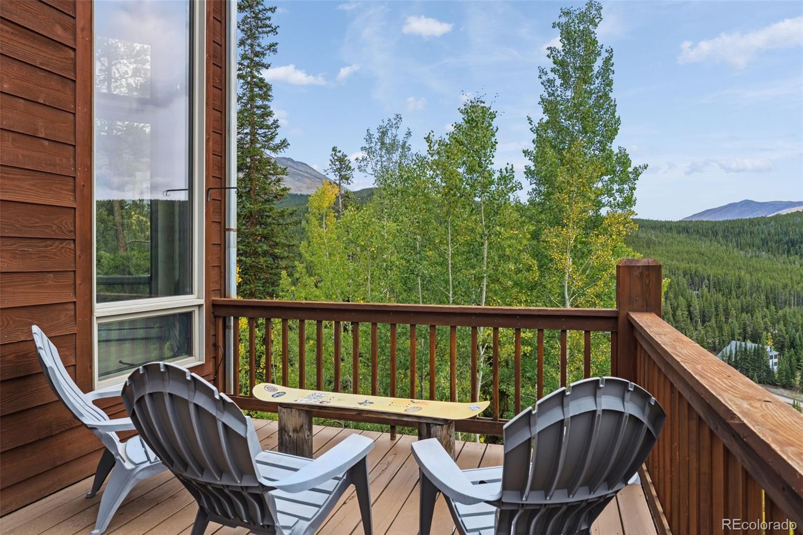 MLS Image #45 for 100  club house road,breckenridge, Colorado