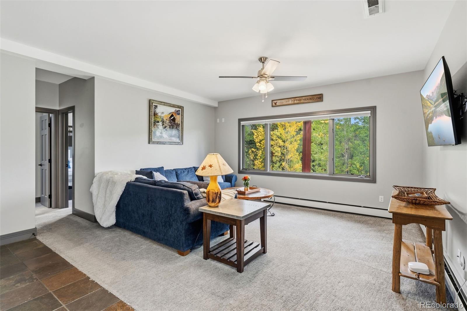 MLS Image #46 for 100  club house road,breckenridge, Colorado