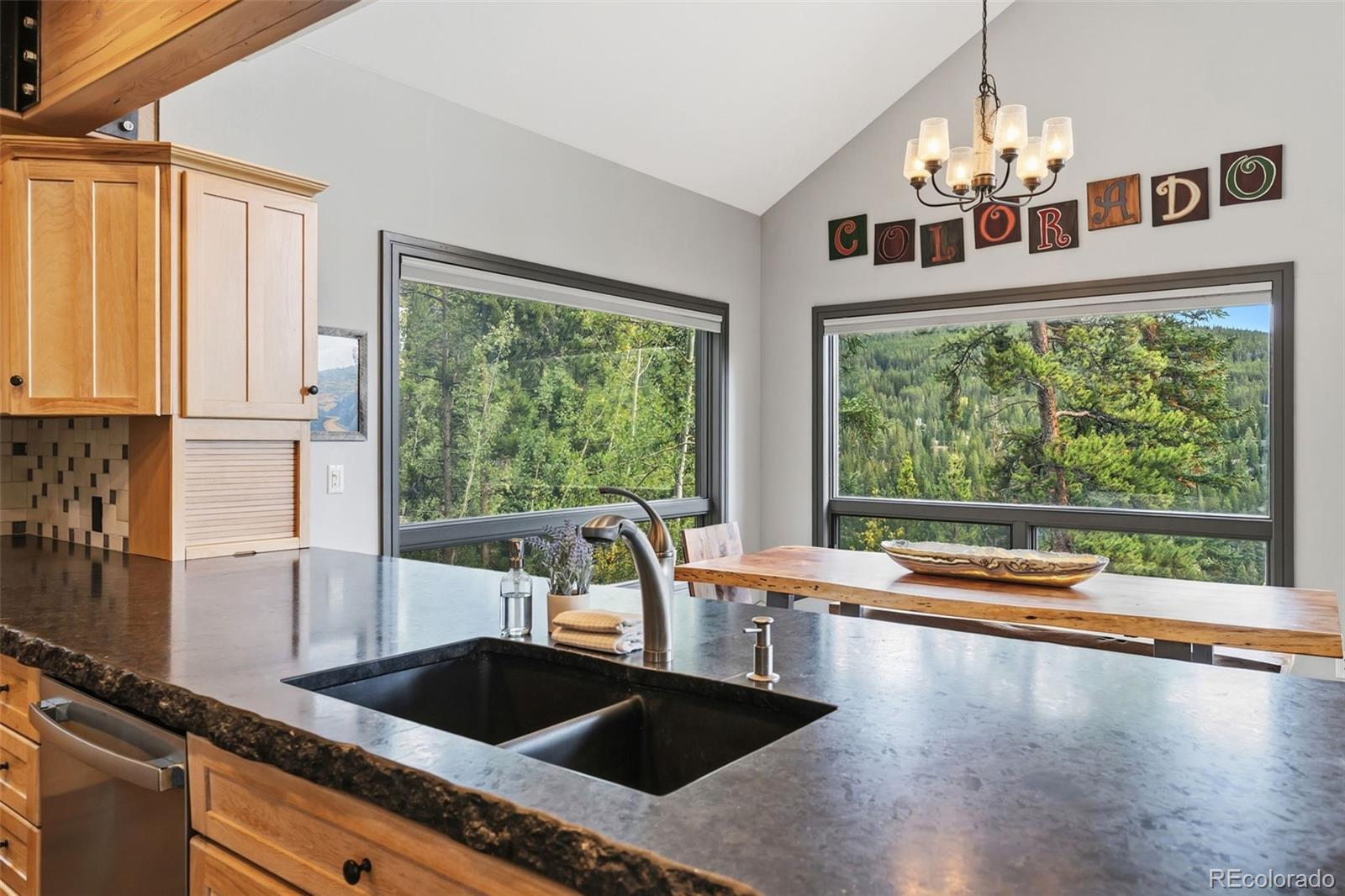 MLS Image #8 for 100  club house road,breckenridge, Colorado