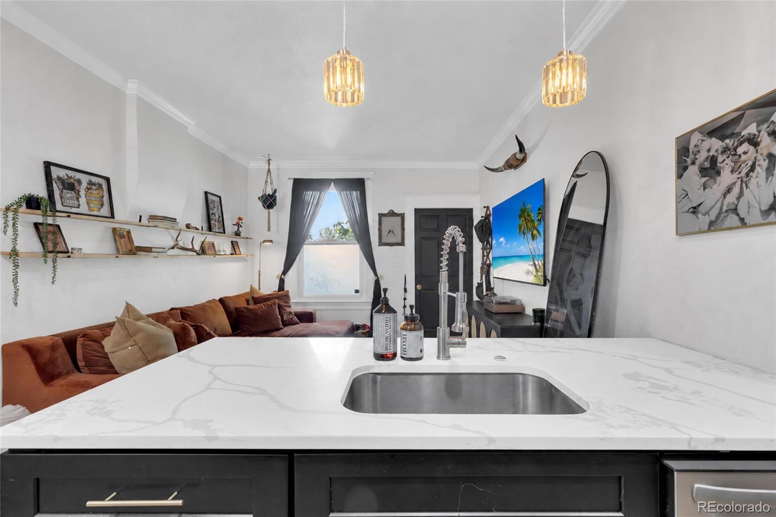 MLS Image #10 for 105 w maple avenue,denver, Colorado
