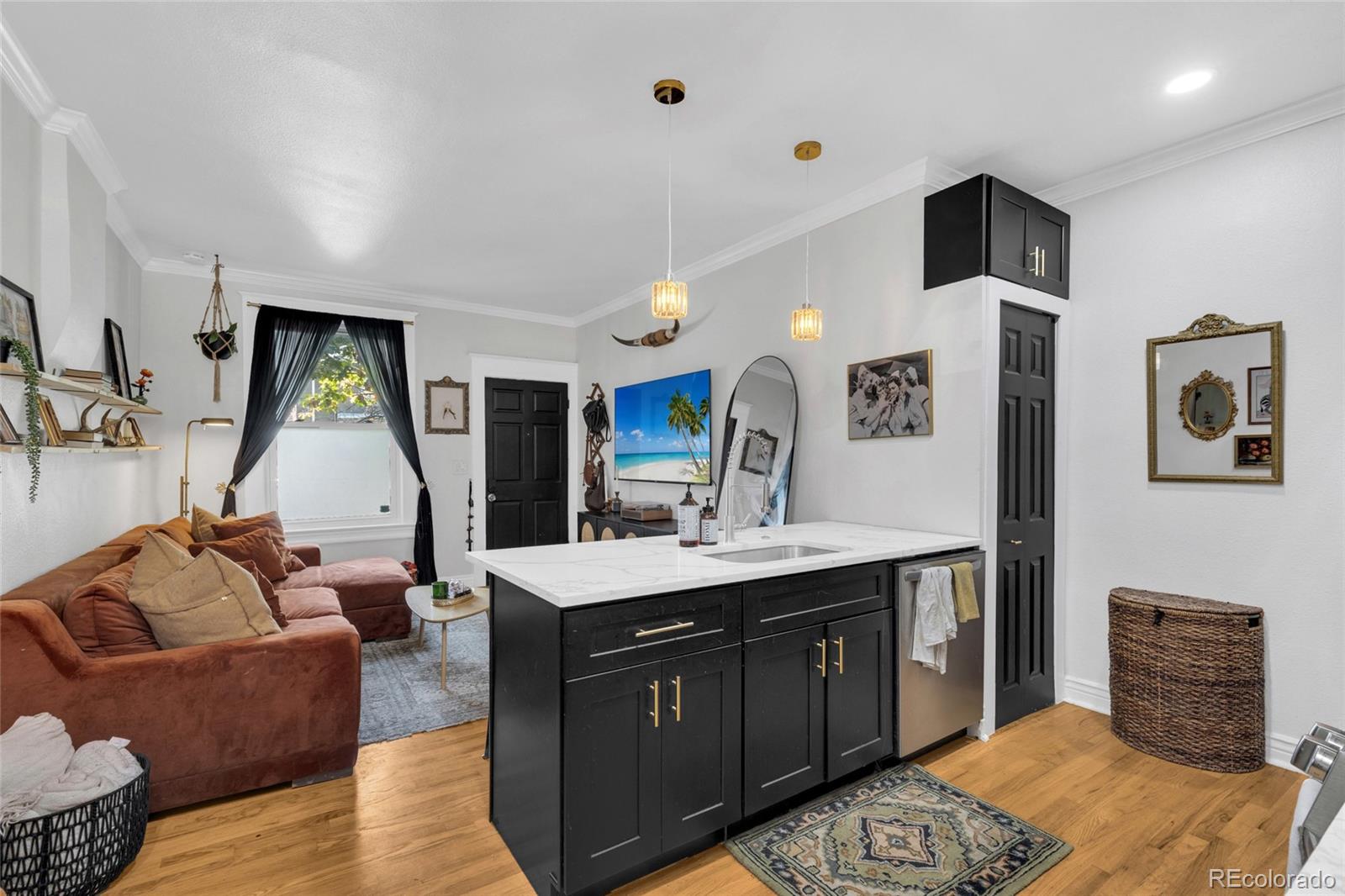 MLS Image #6 for 105 w maple avenue,denver, Colorado