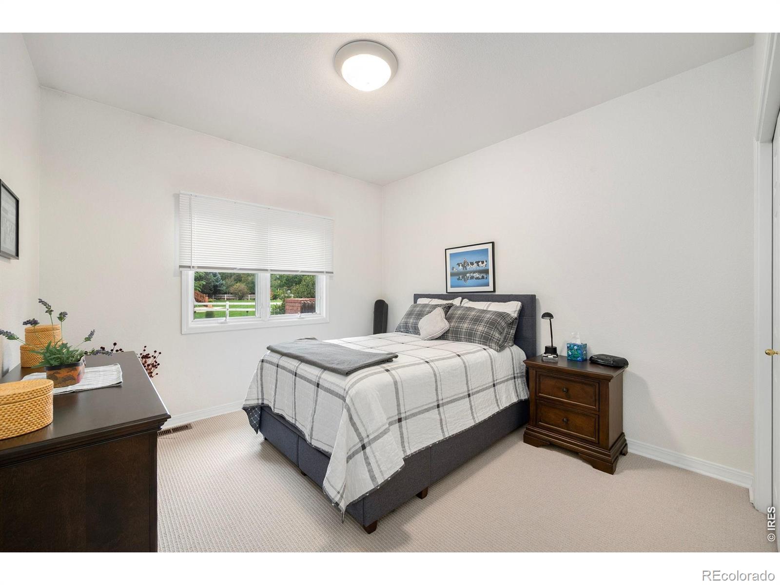 MLS Image #18 for 218  grand view circle,mead, Colorado
