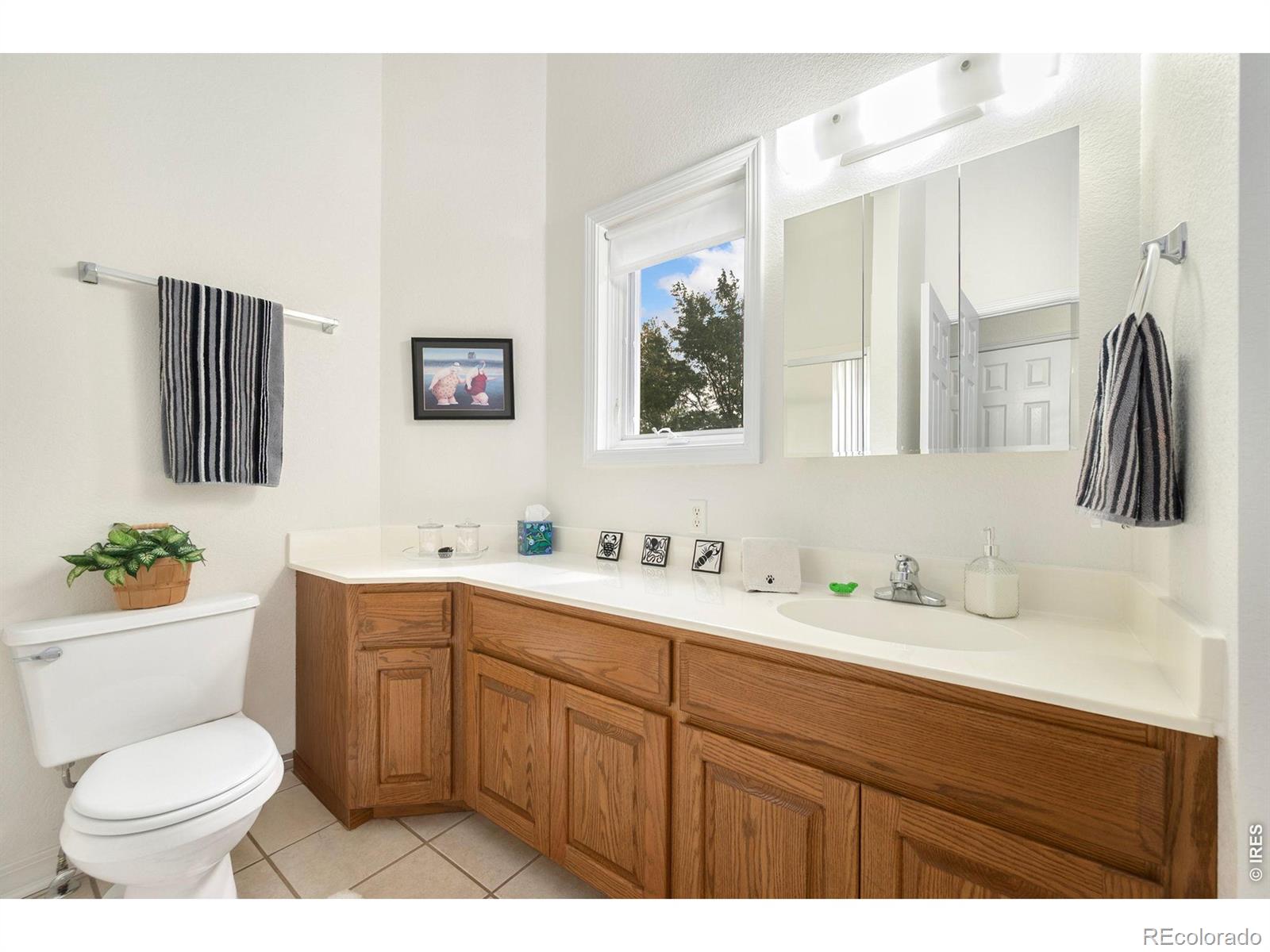 MLS Image #22 for 218  grand view circle,mead, Colorado