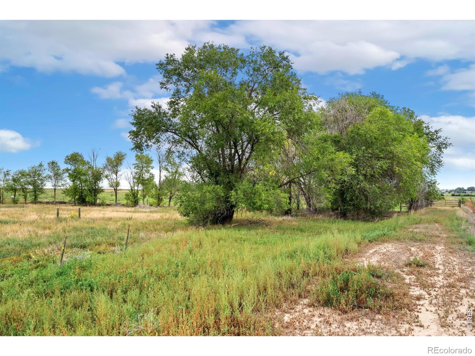 MLS Image #11 for 4526 e county road 64 ,wellington, Colorado
