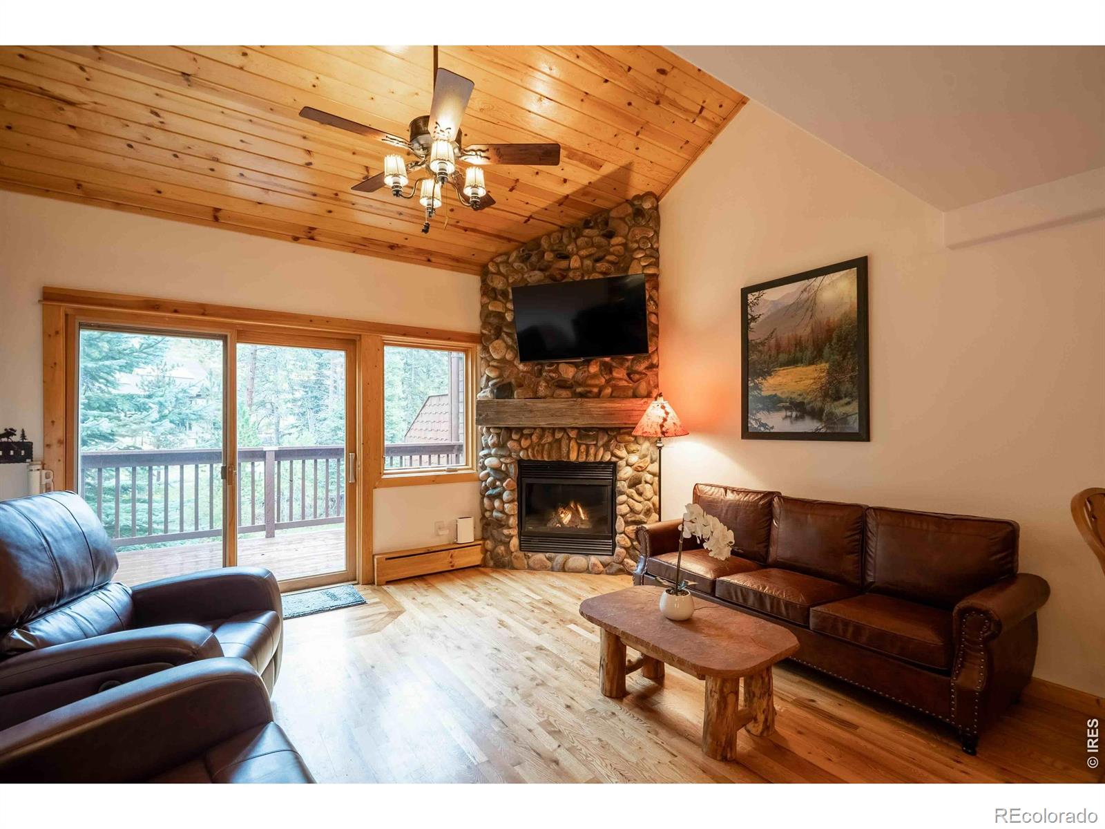 MLS Image #6 for 1516  fish hatchery road,estes park, Colorado