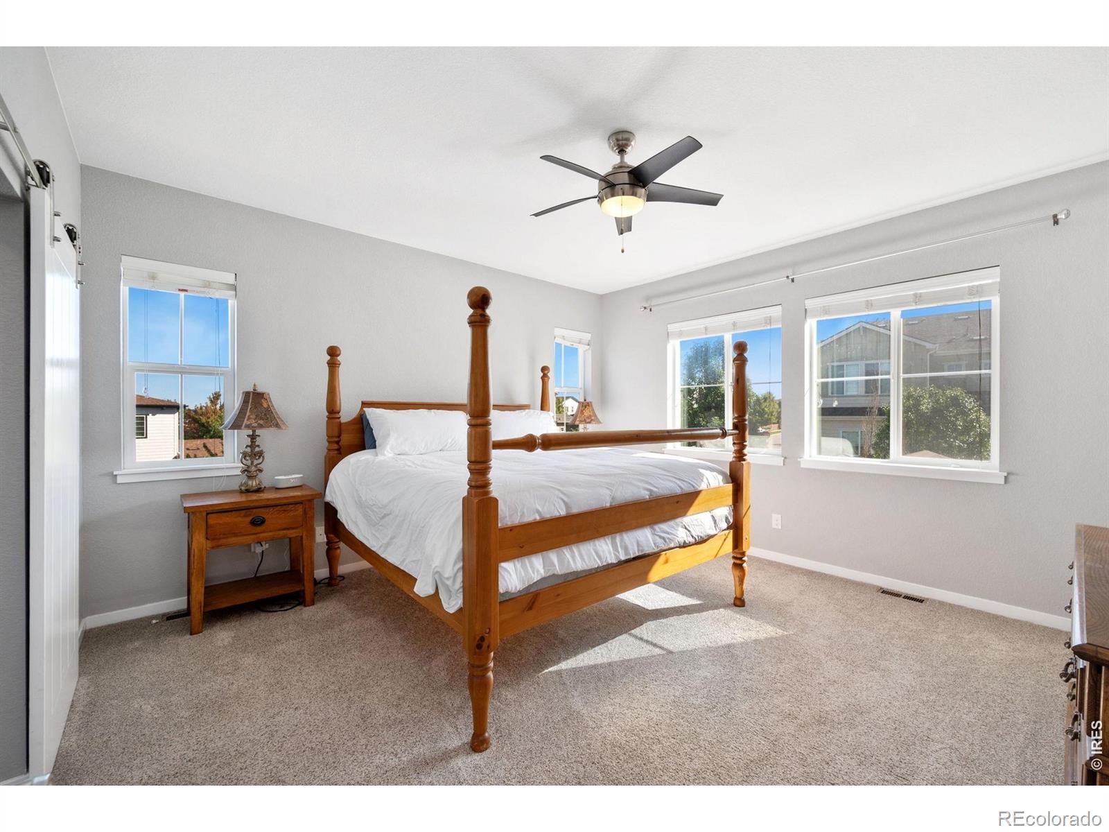 MLS Image #10 for 51  solstice court,erie, Colorado